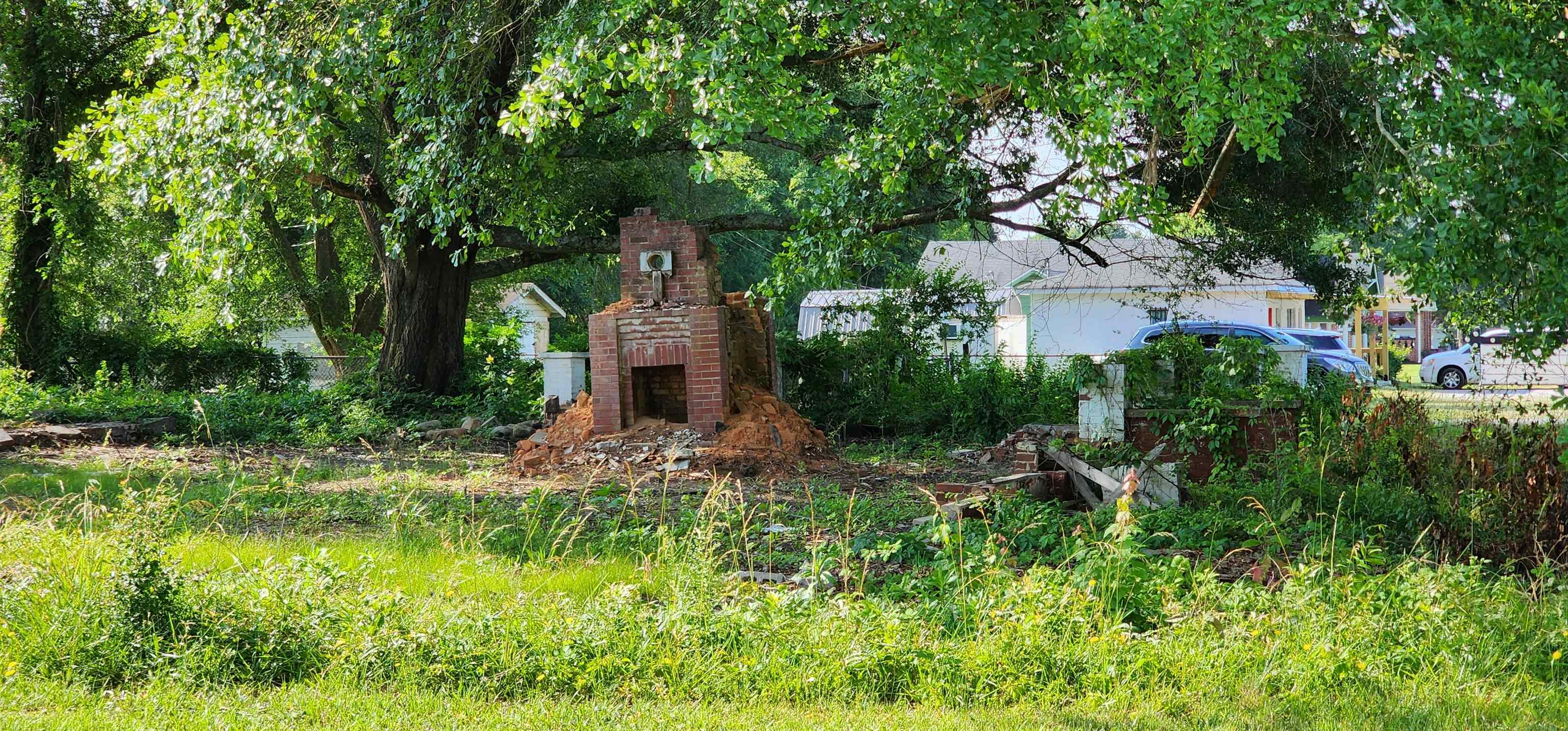 Image 19