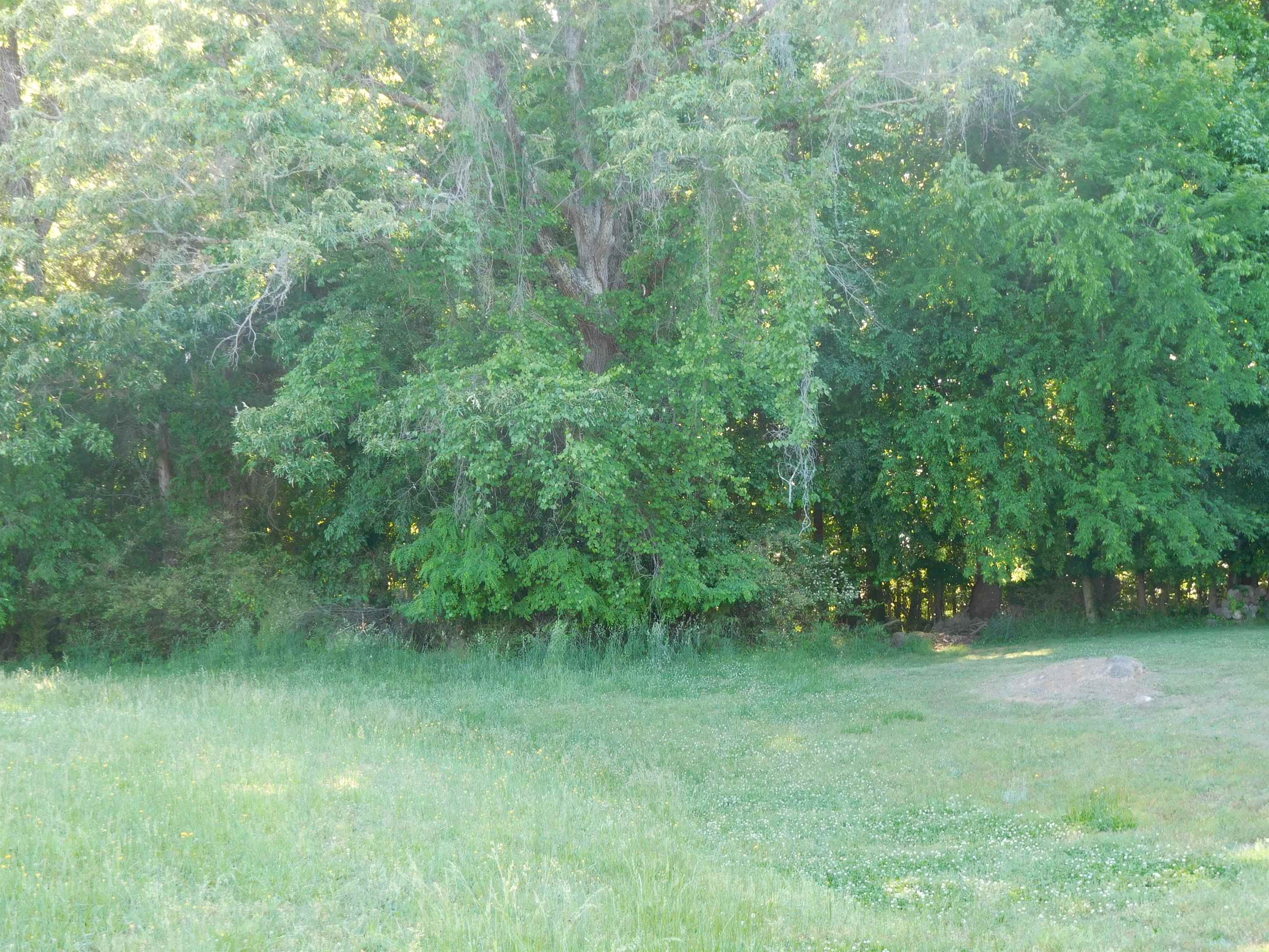 TBD Chaucer Drive
