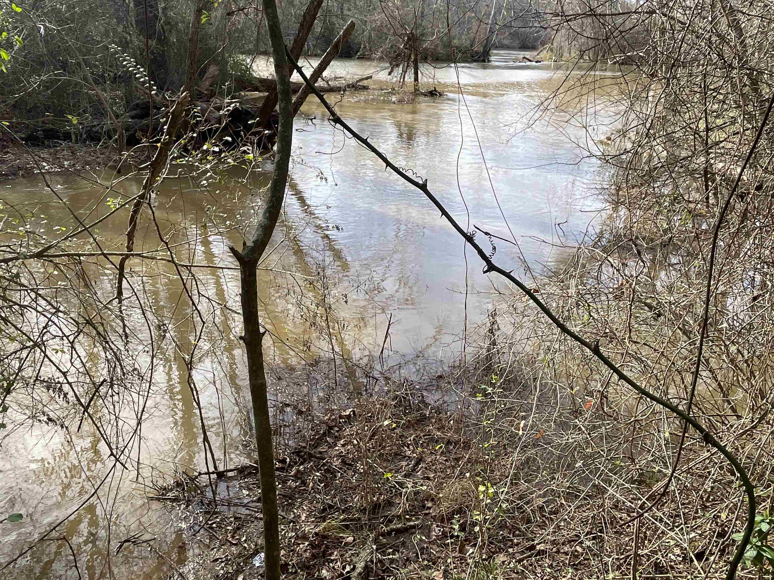 161 Little River Trail