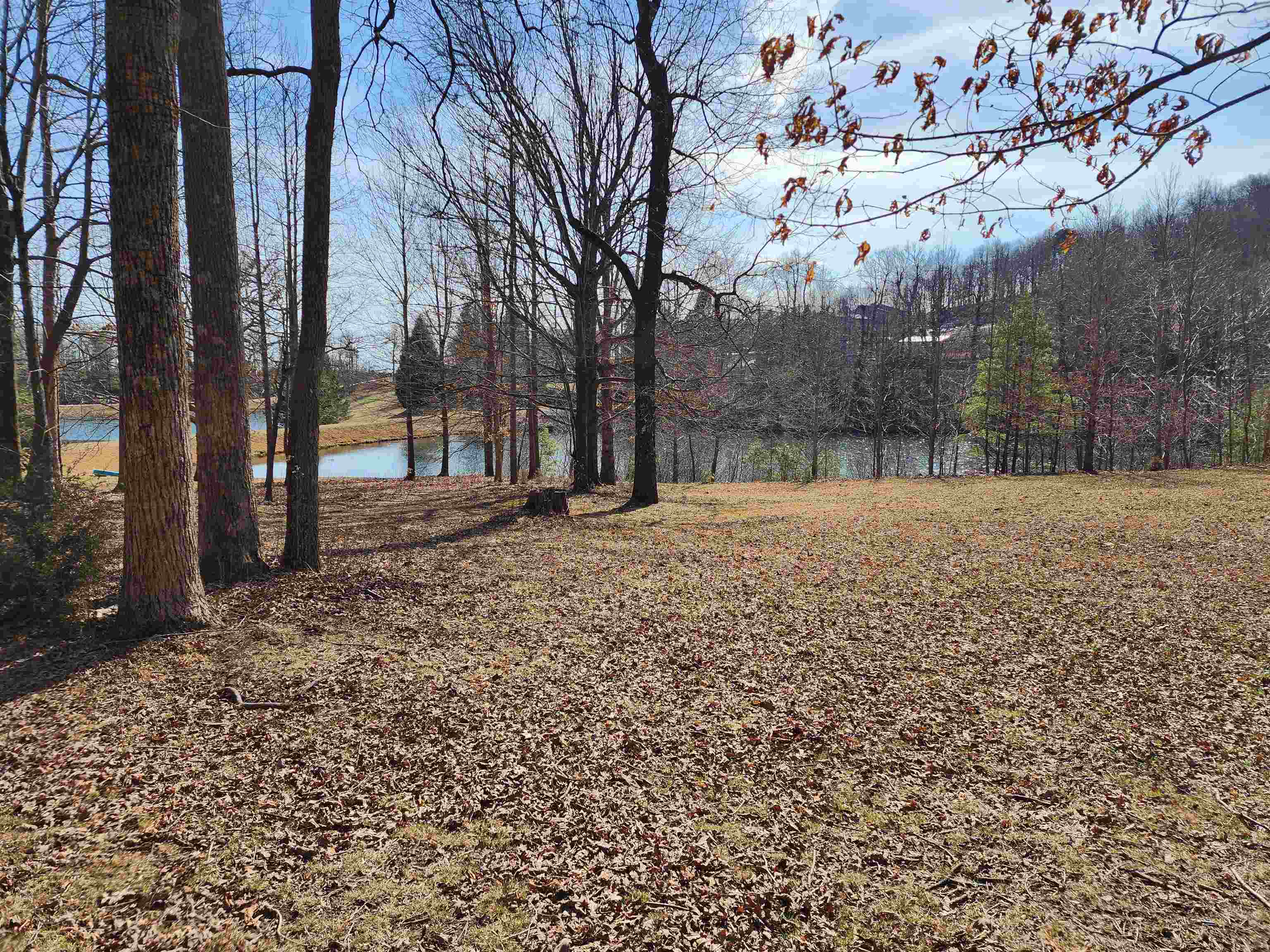Lot 77 Serpentine Drive
