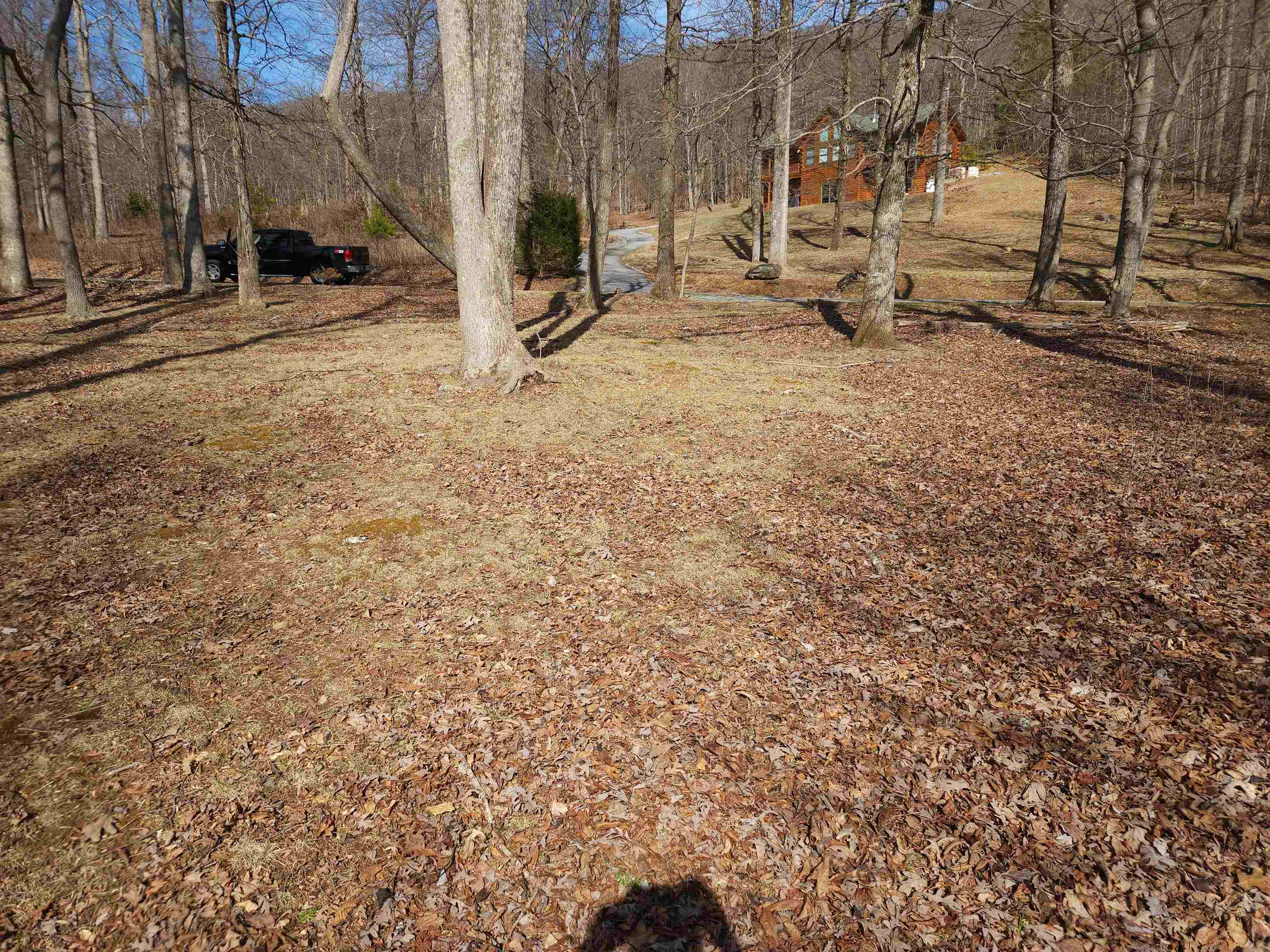 Image 8