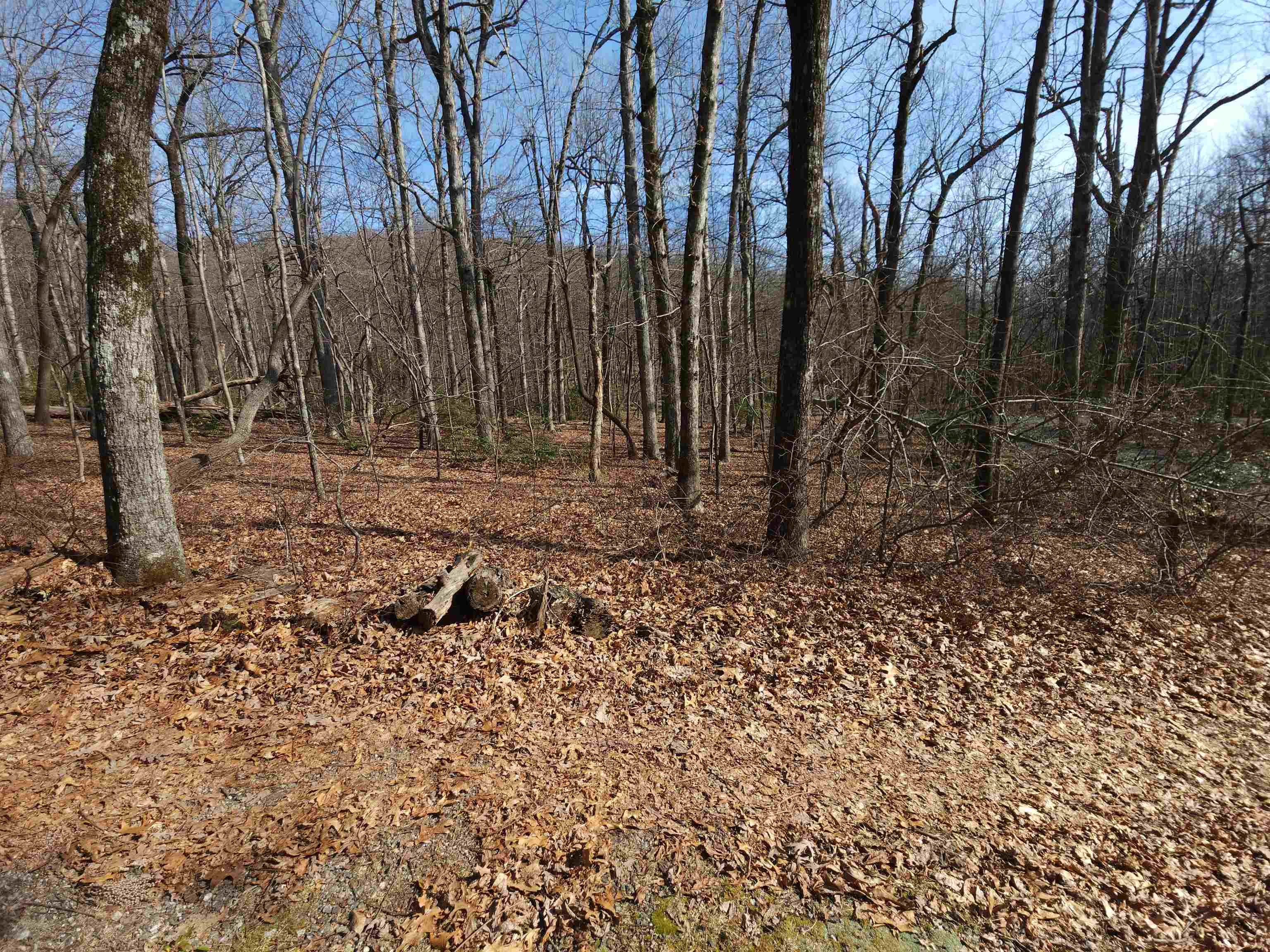 Image 18