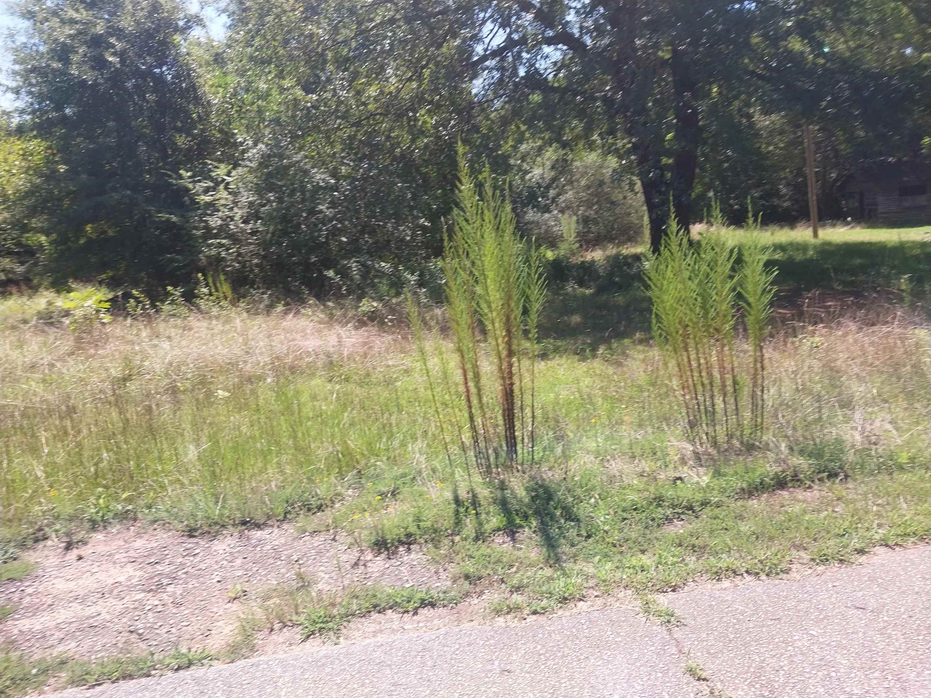 321 Irby Road