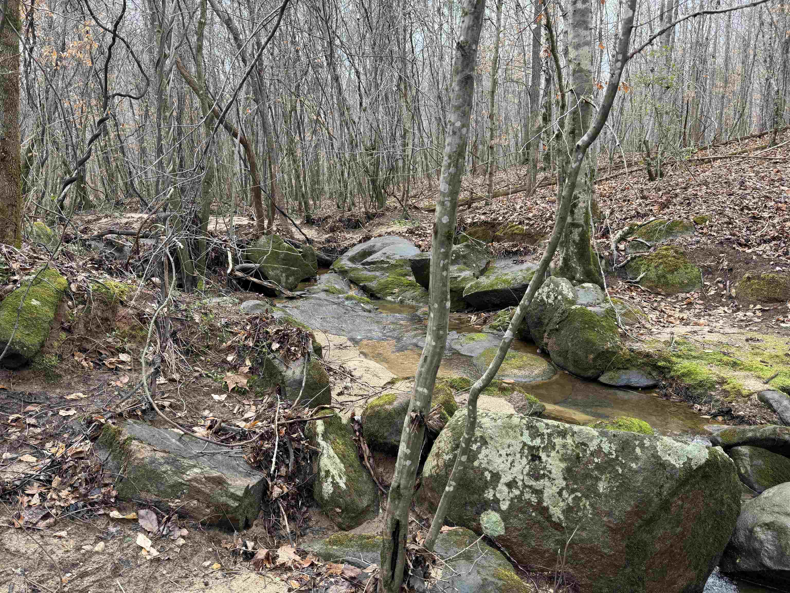 Image 38