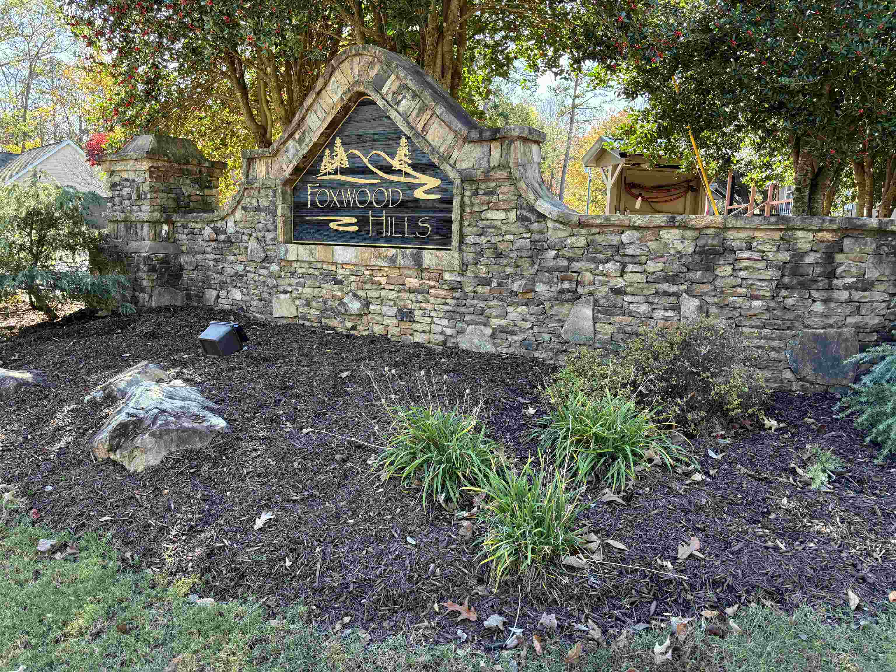 Image 29