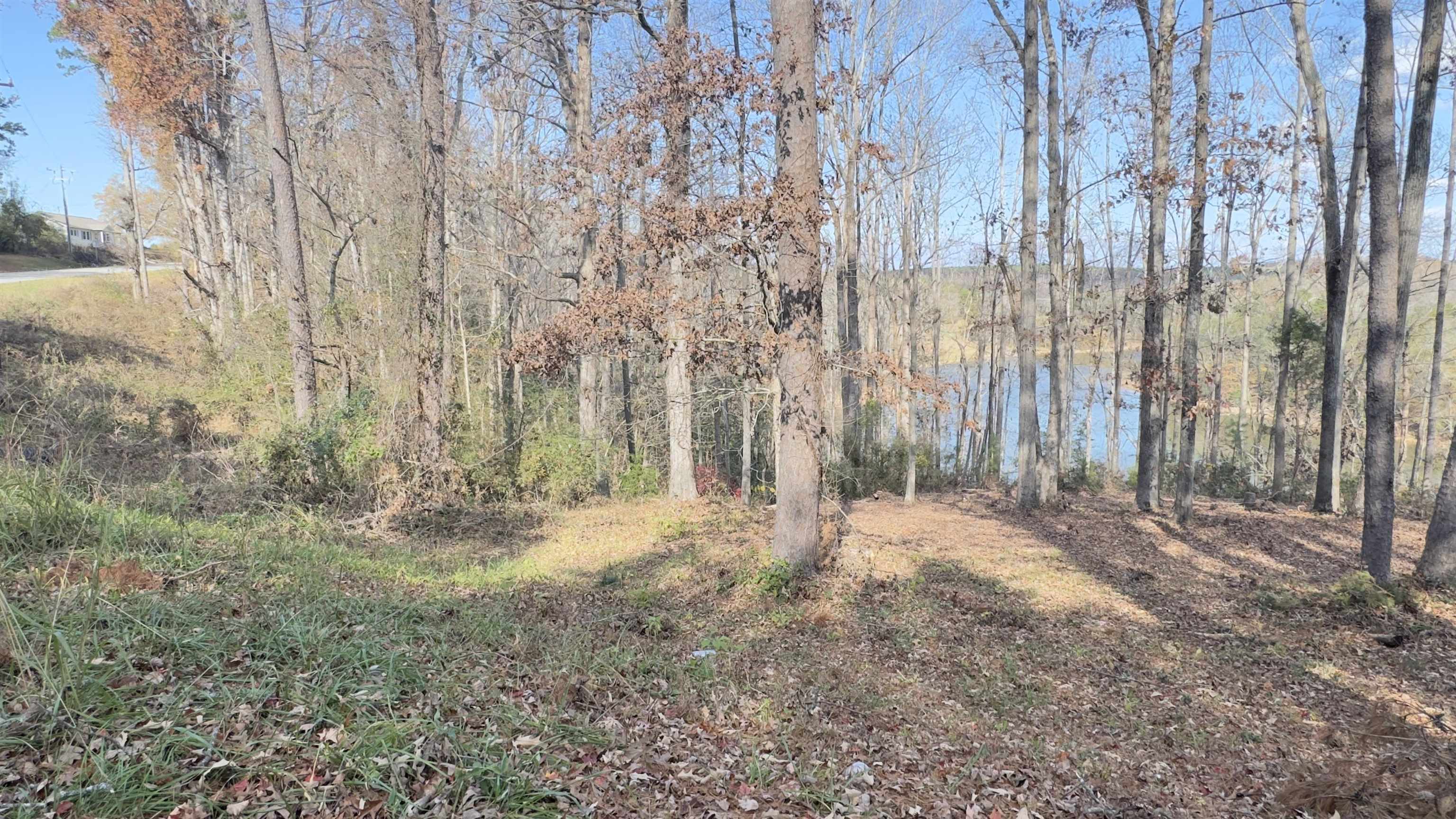 Image 19