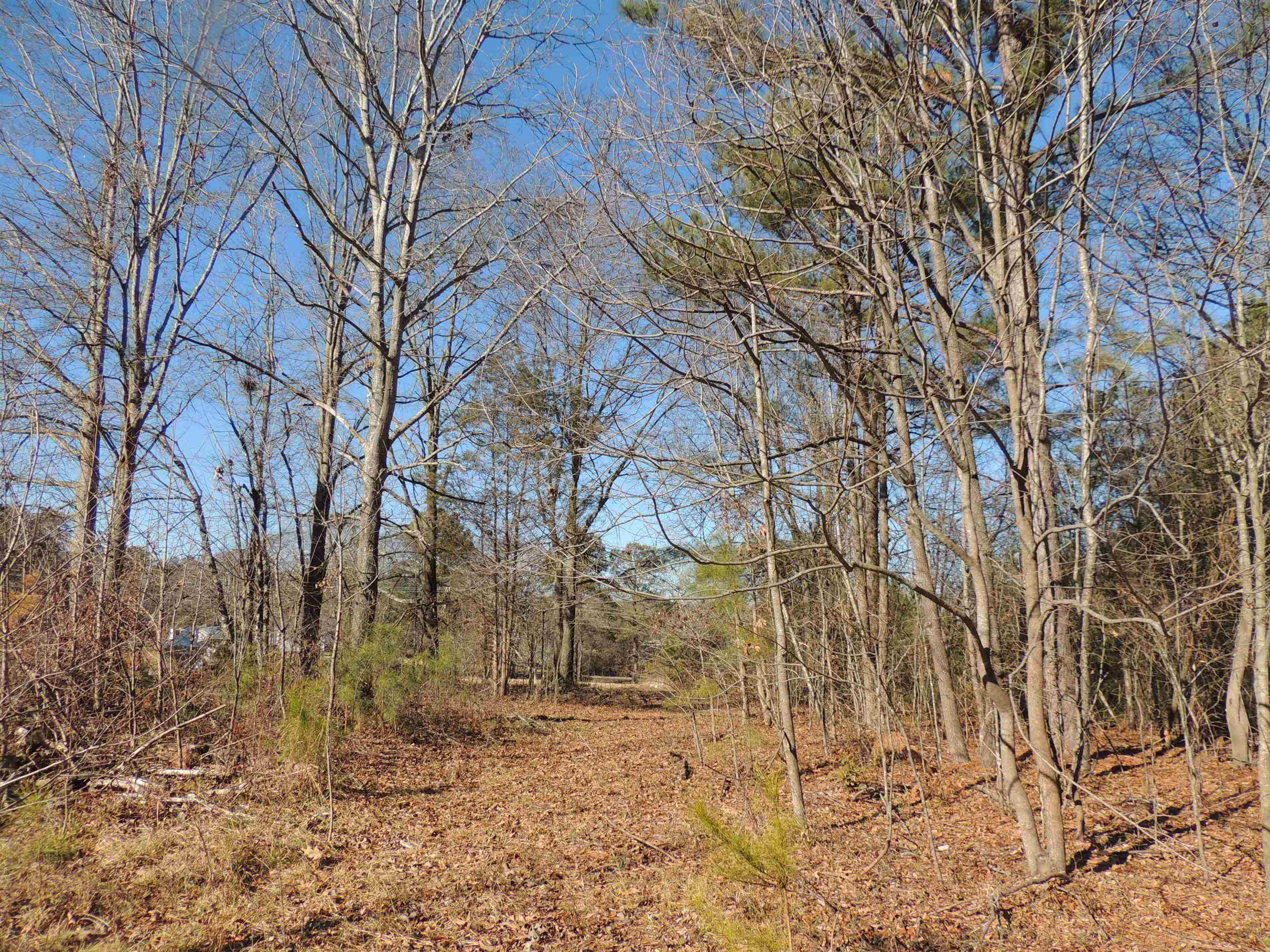 Image 14