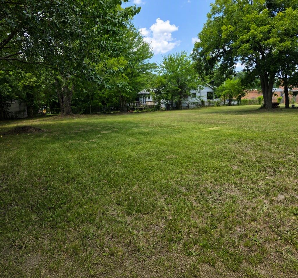 Image 26