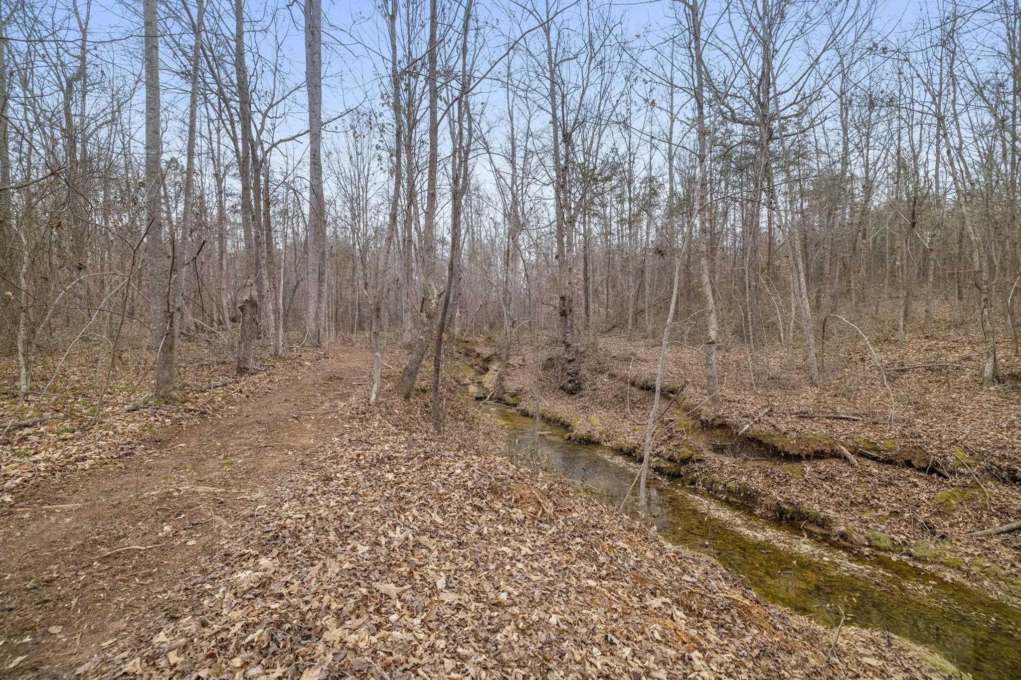 Image 46