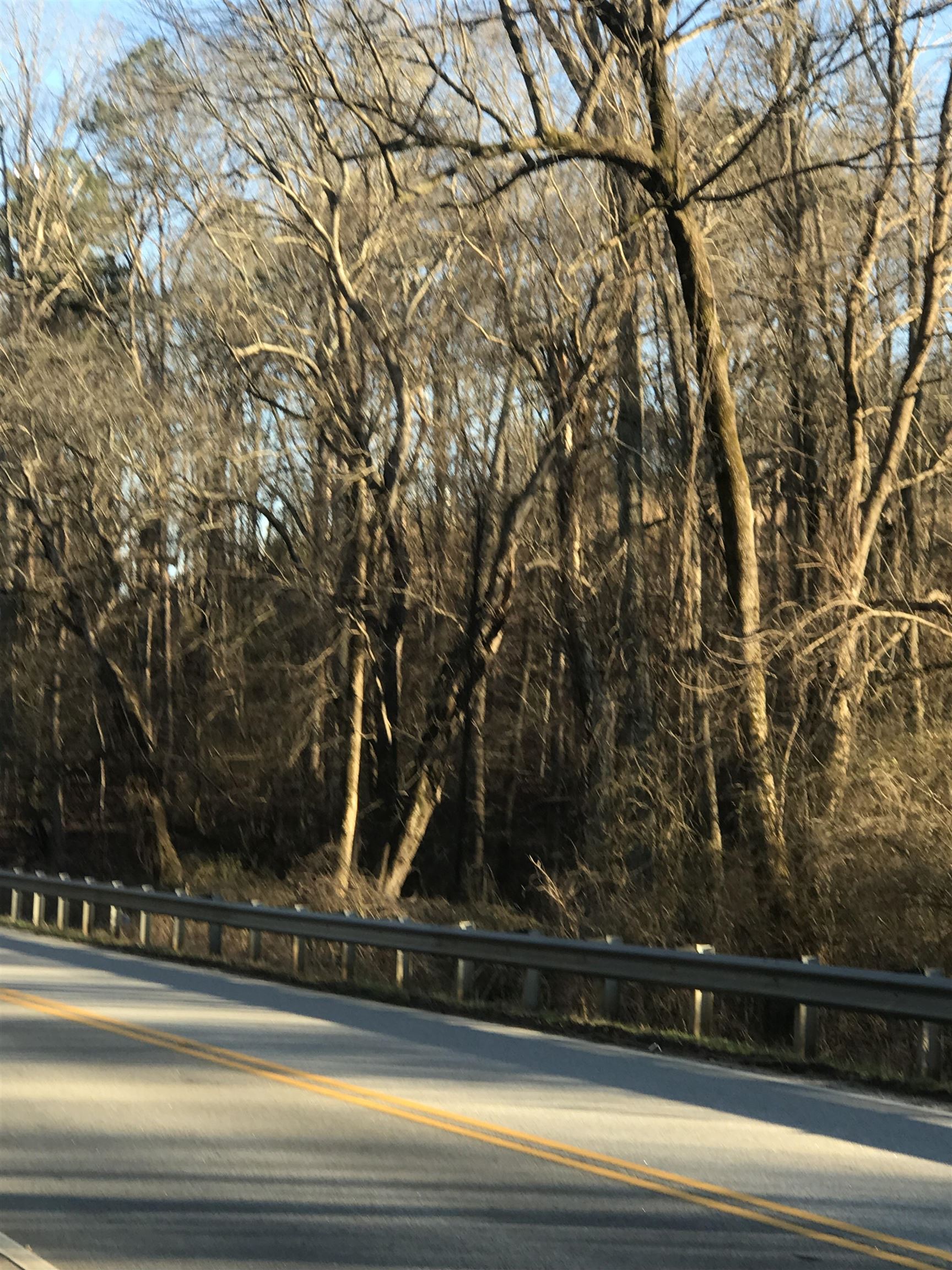 Old Converse Road