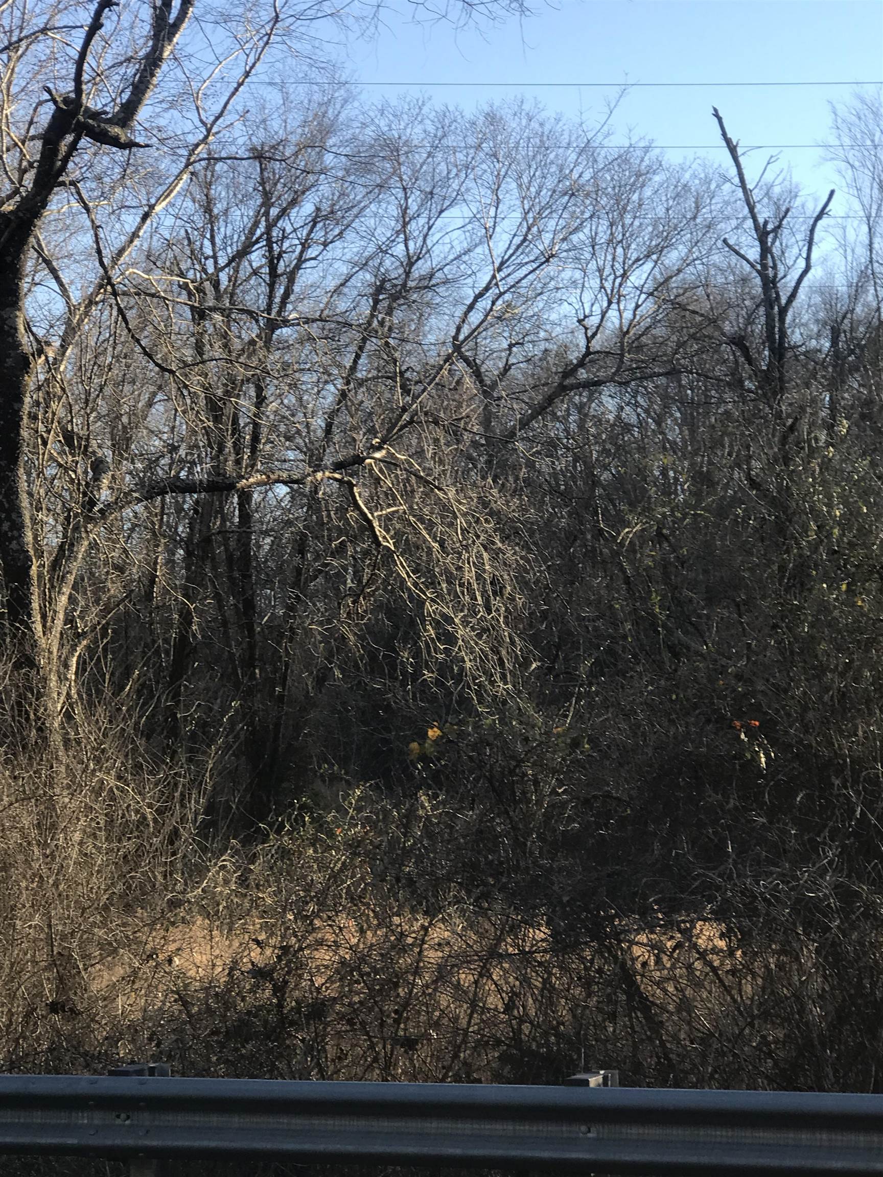 Image 15