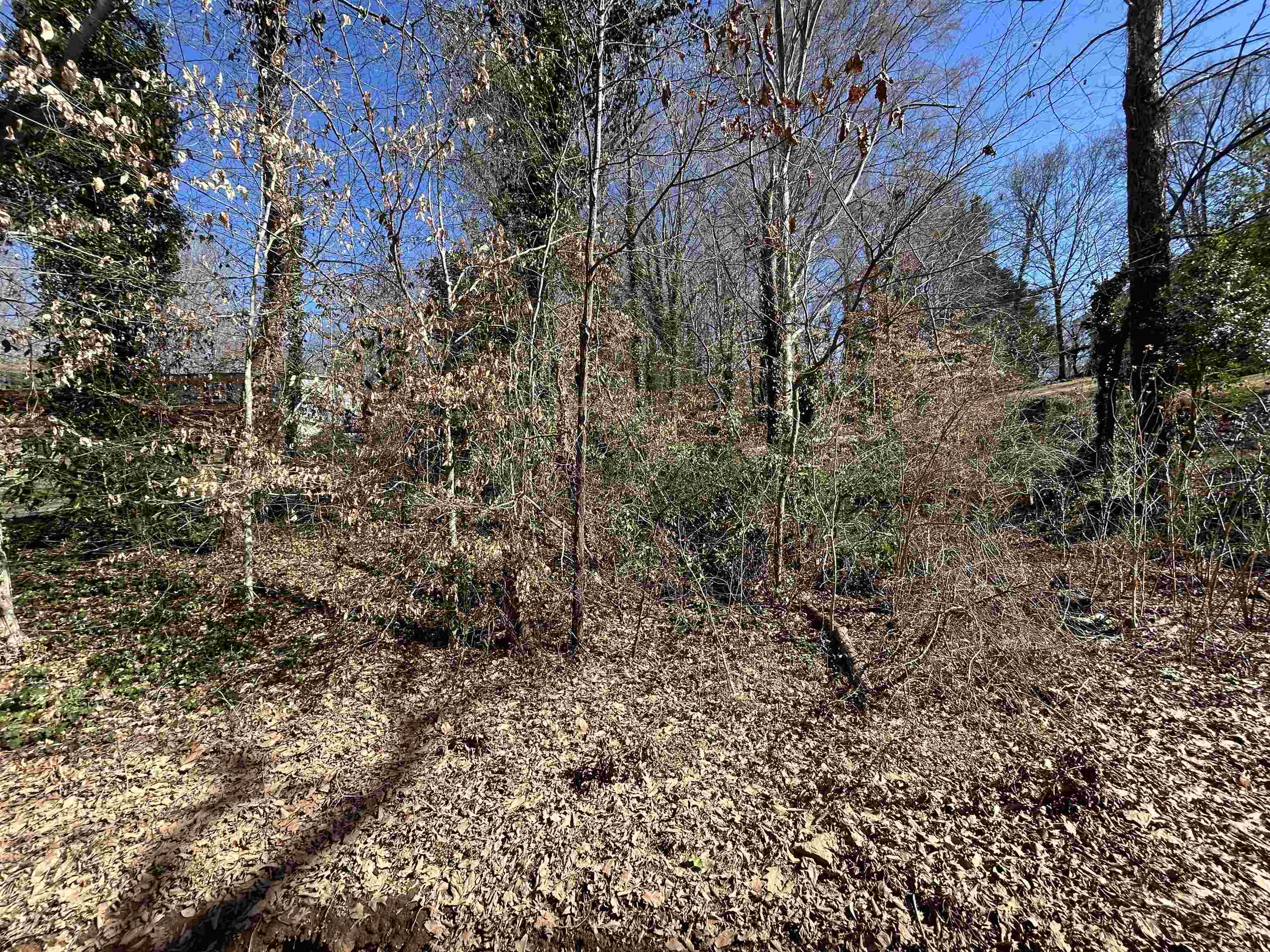 Image 9