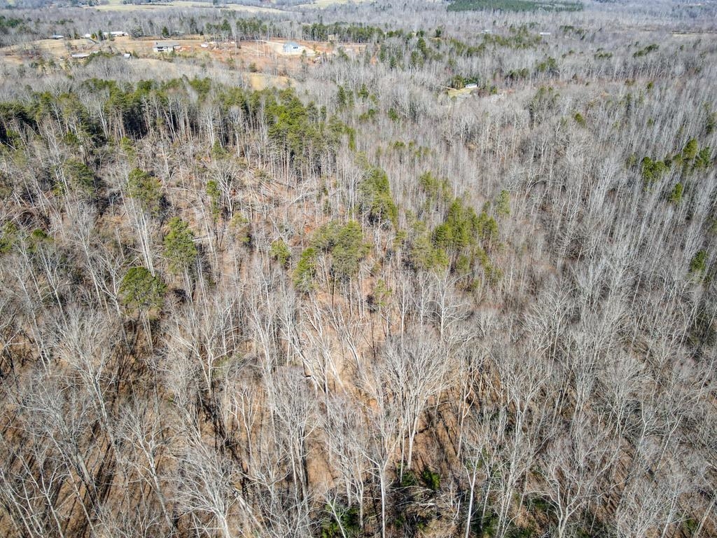 Image 14