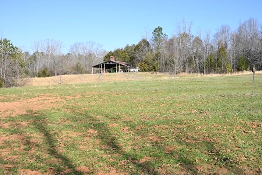 Image 14