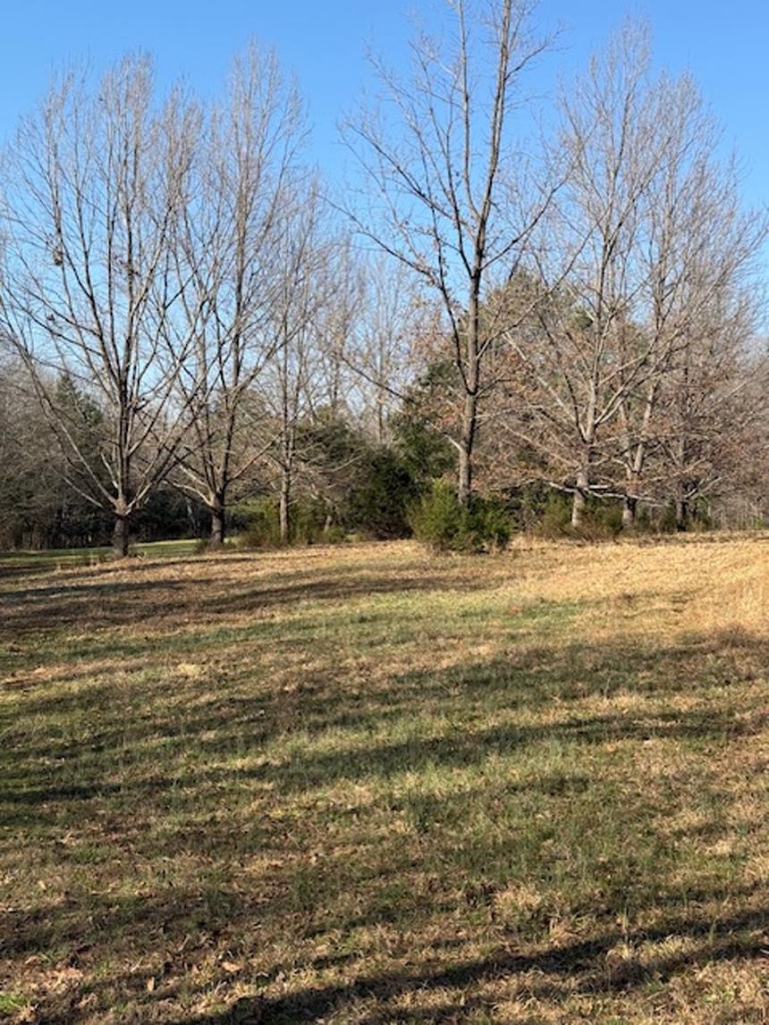 Image 15
