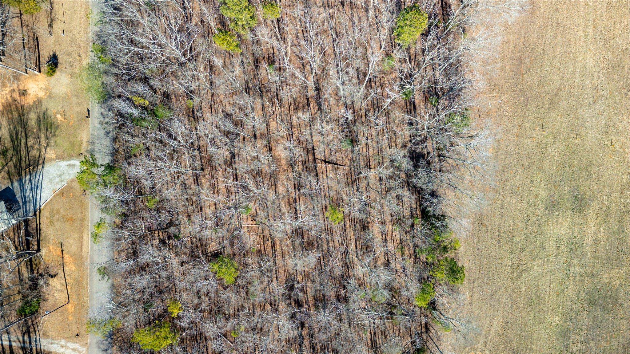 Lot 3 Broken Arrow Drive