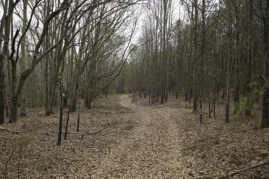 Image 13