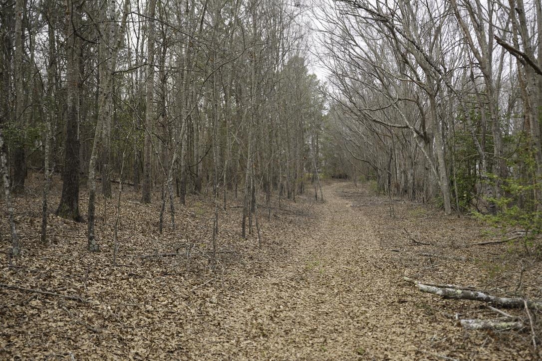 Image 14