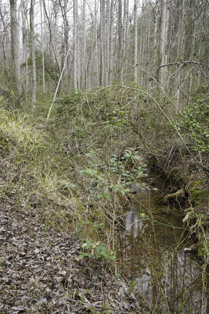 Image 13