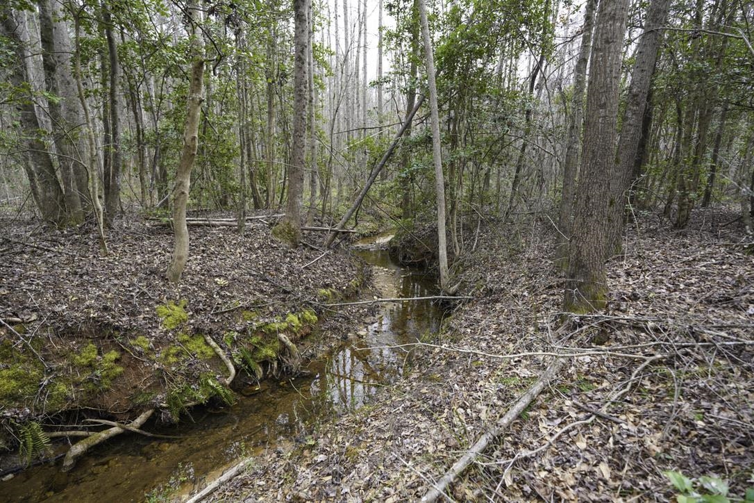 Image 18