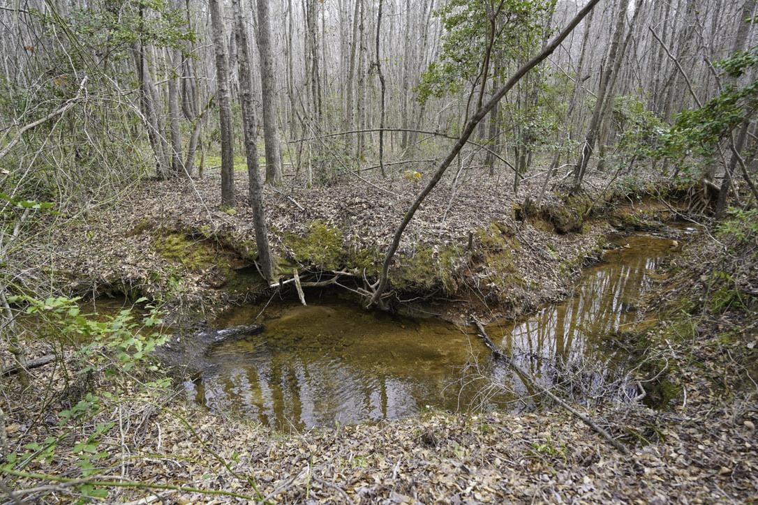 Image 23