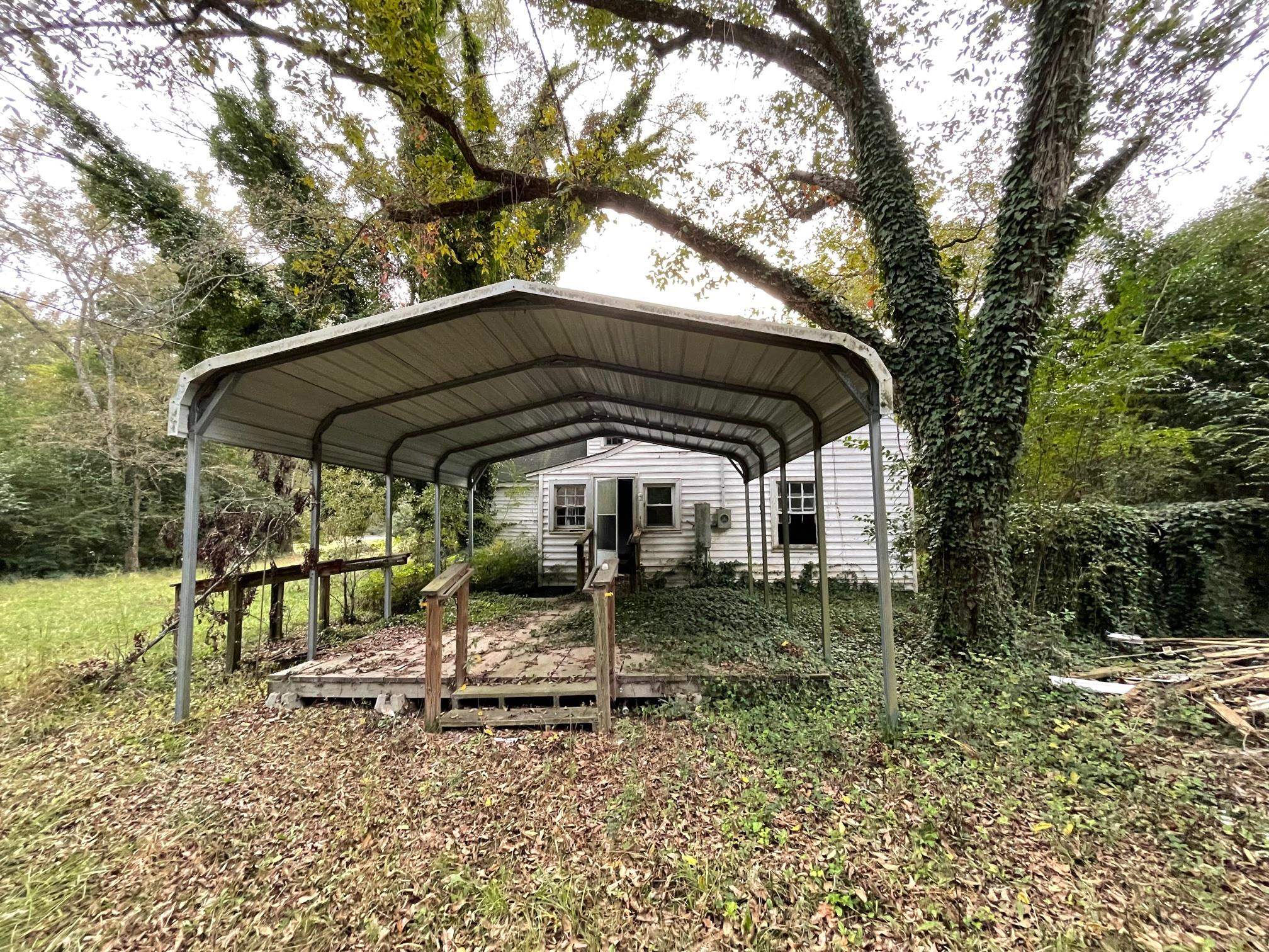 Image 6