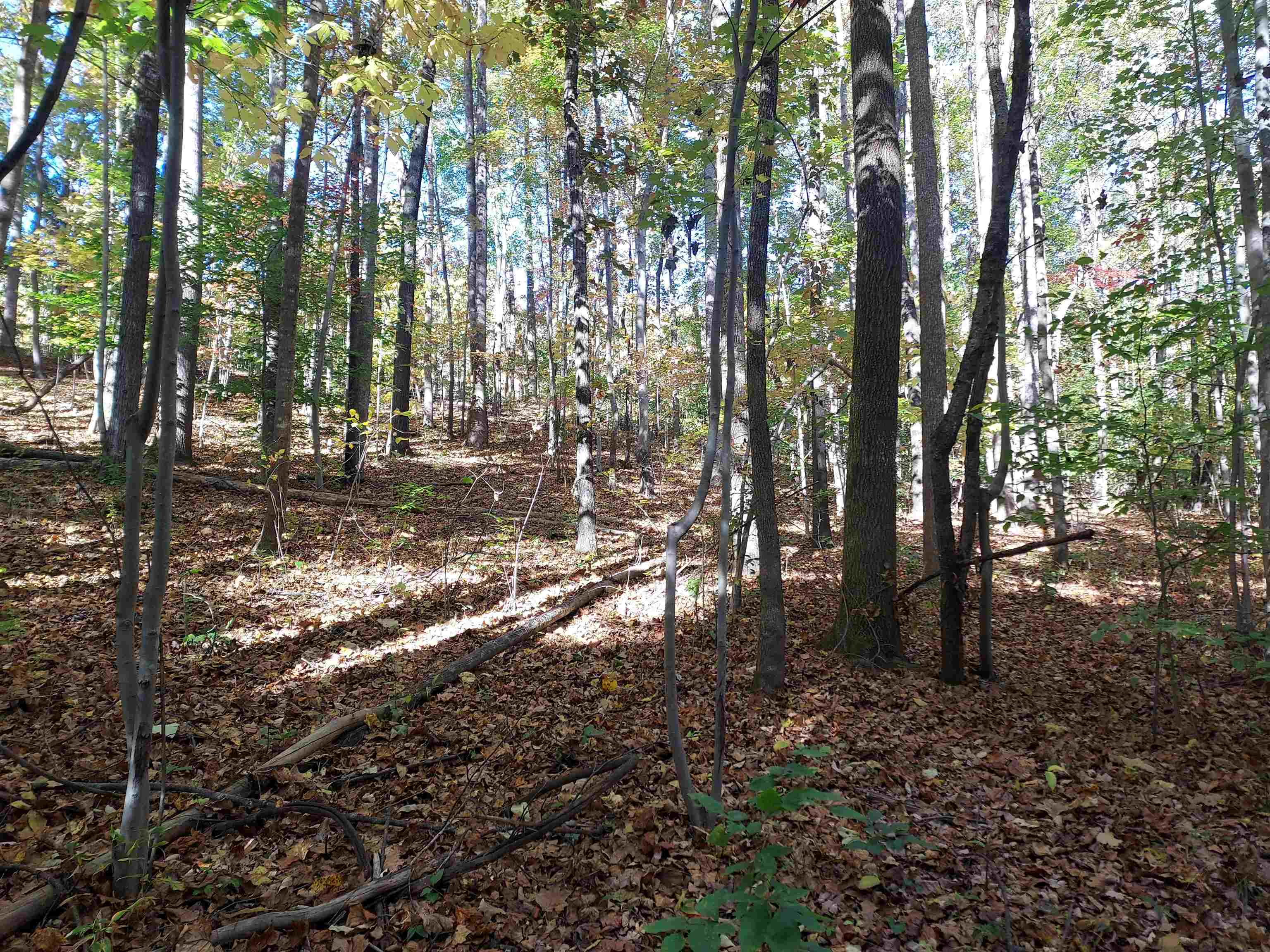 5 Acres Blue Ridge Trail