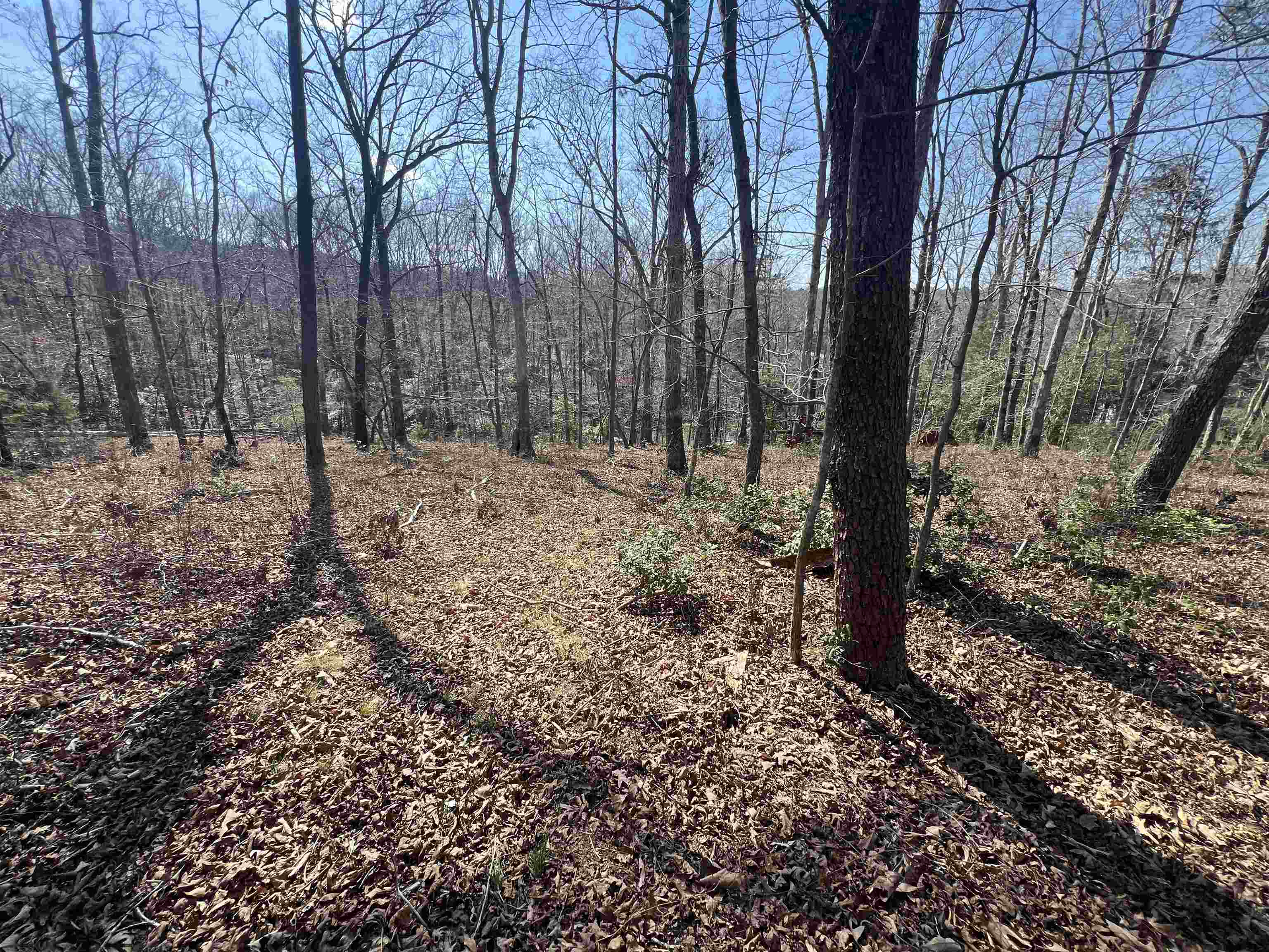 Image 15