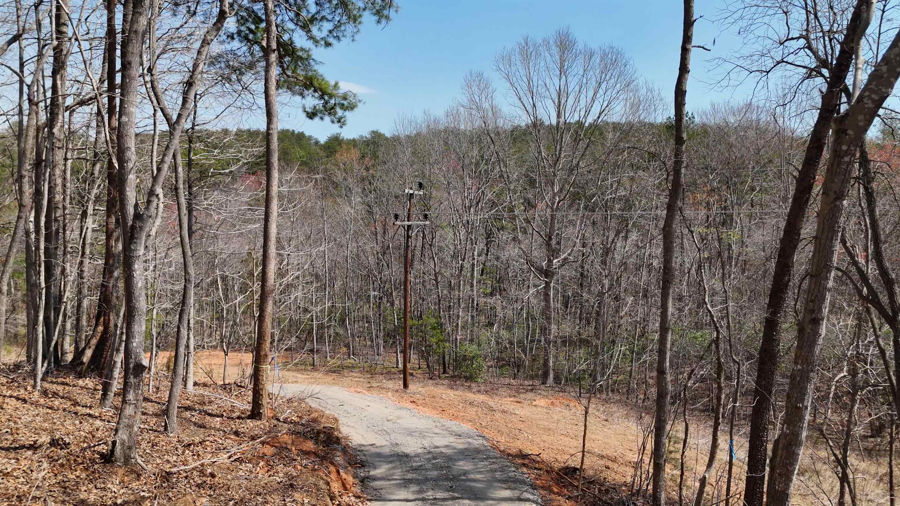 19.75 Acres King Stepp Road