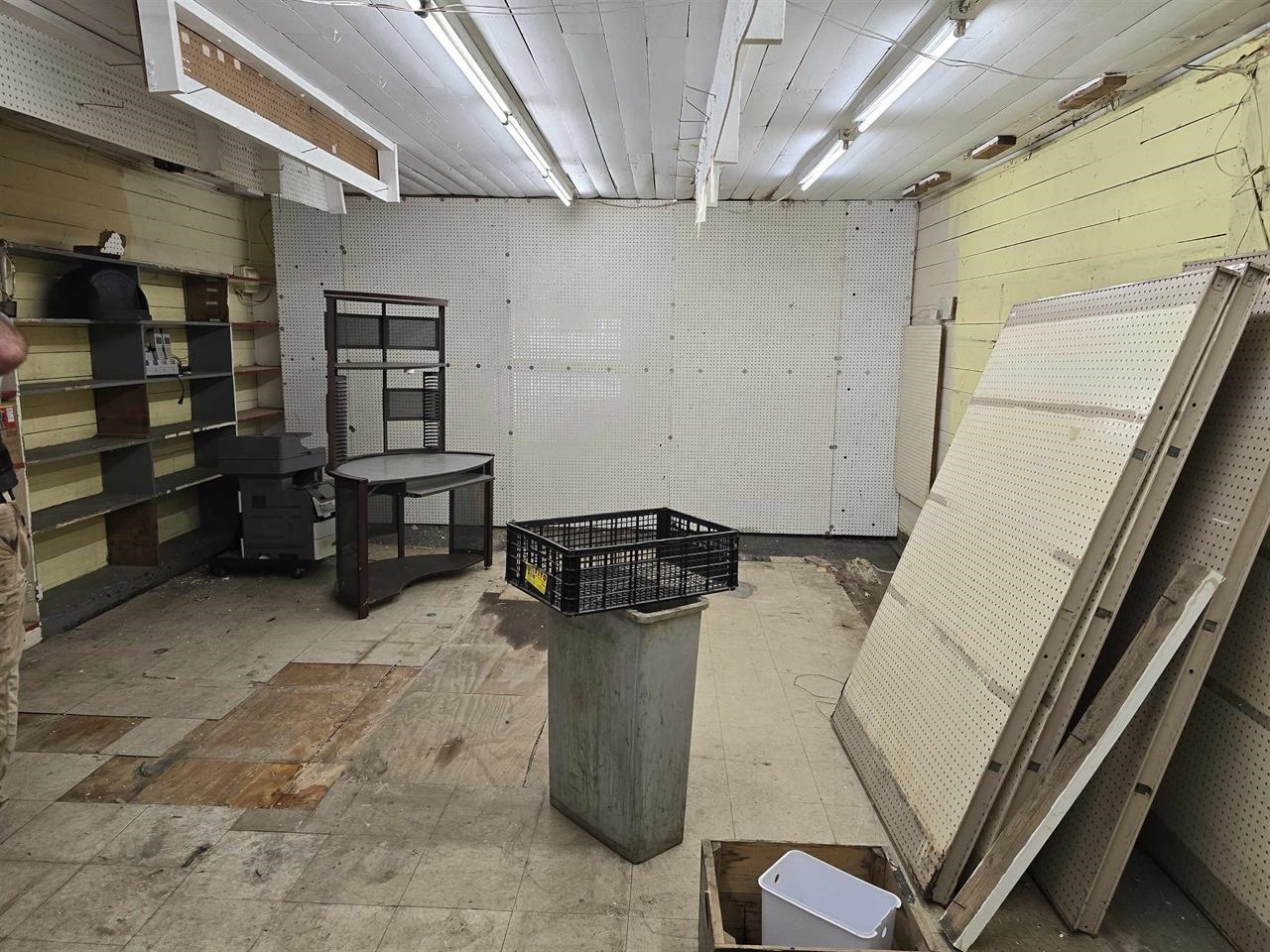 Image 12