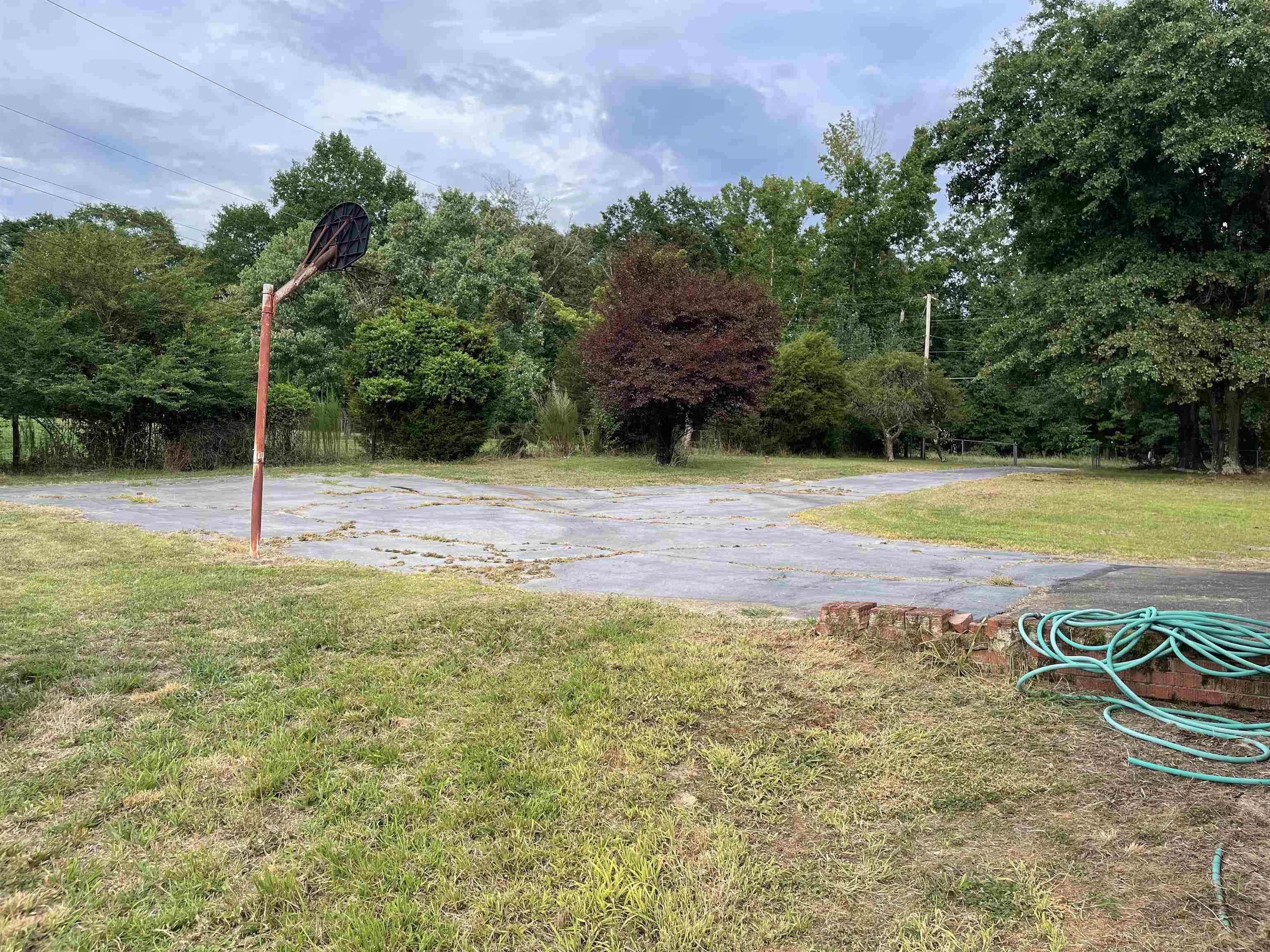 Image 12