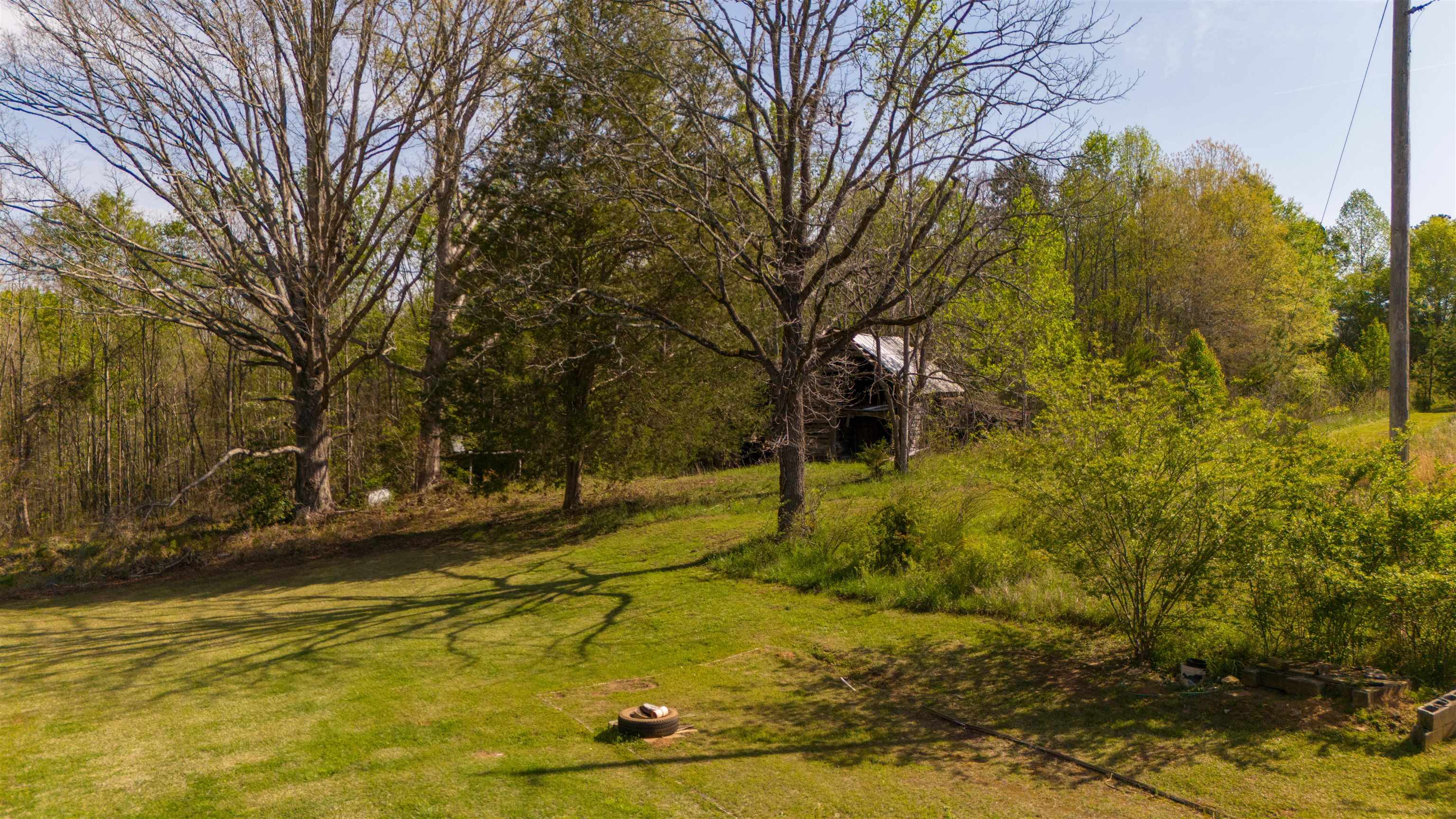 Image 11