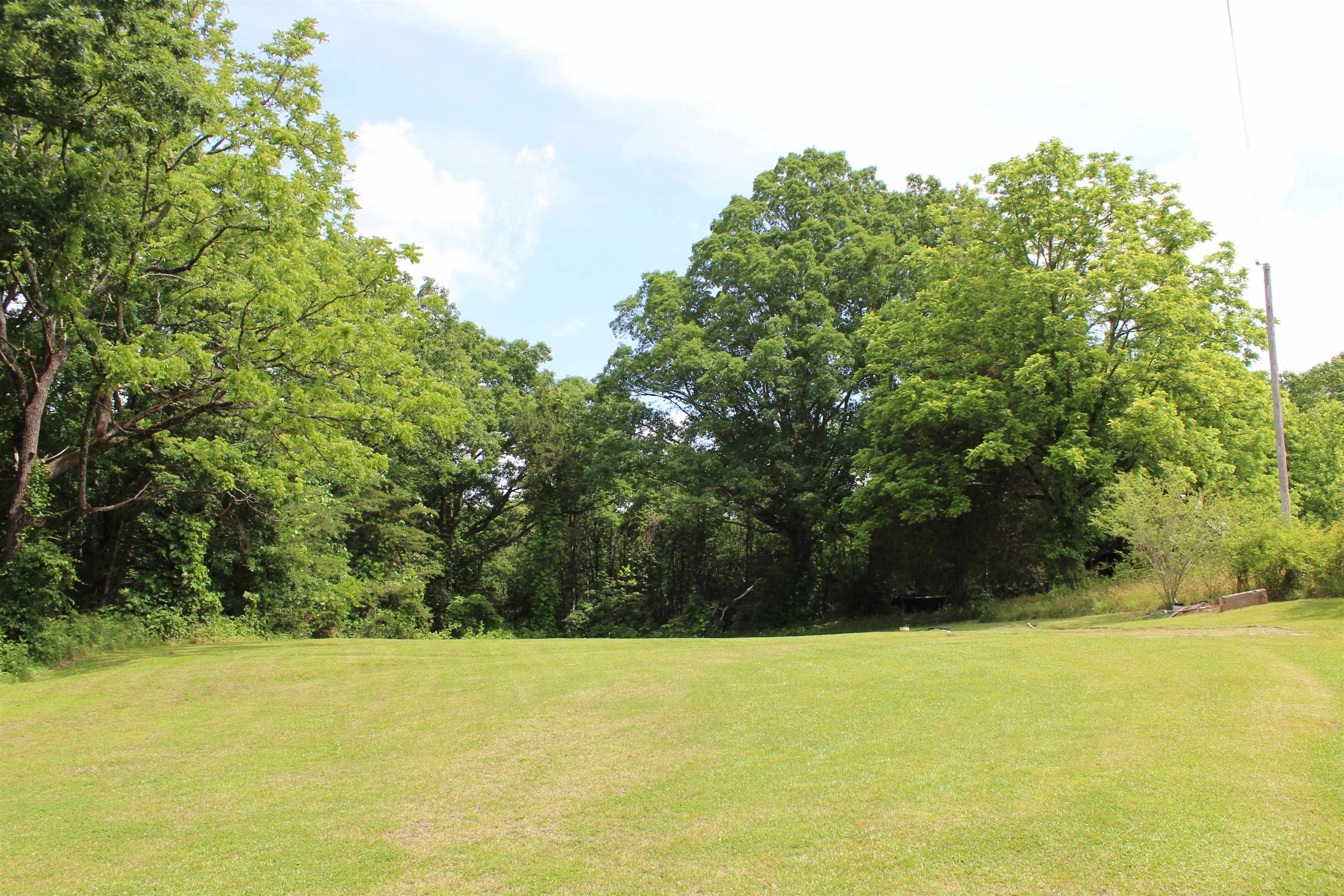 Image 20