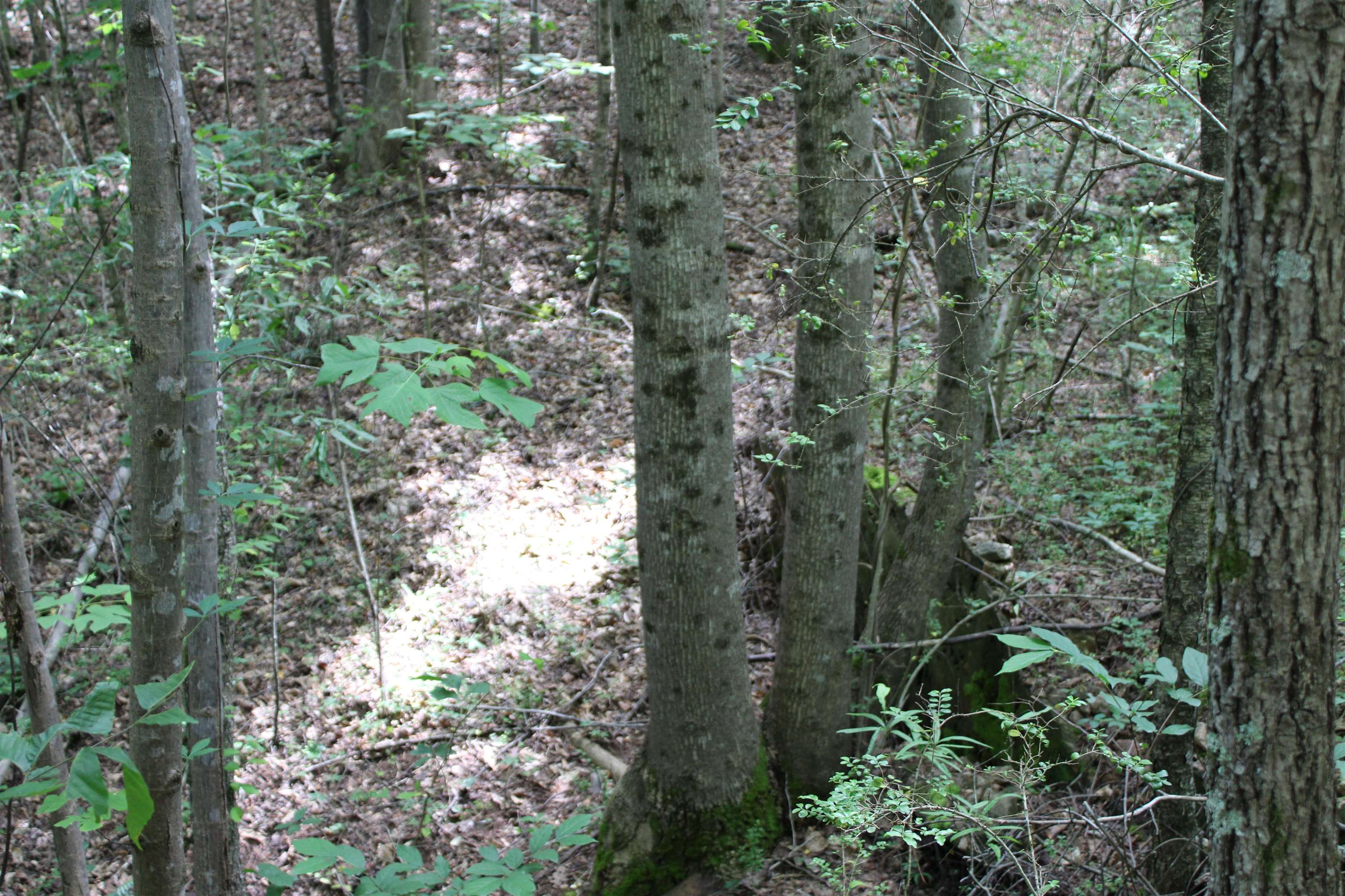 Image 27