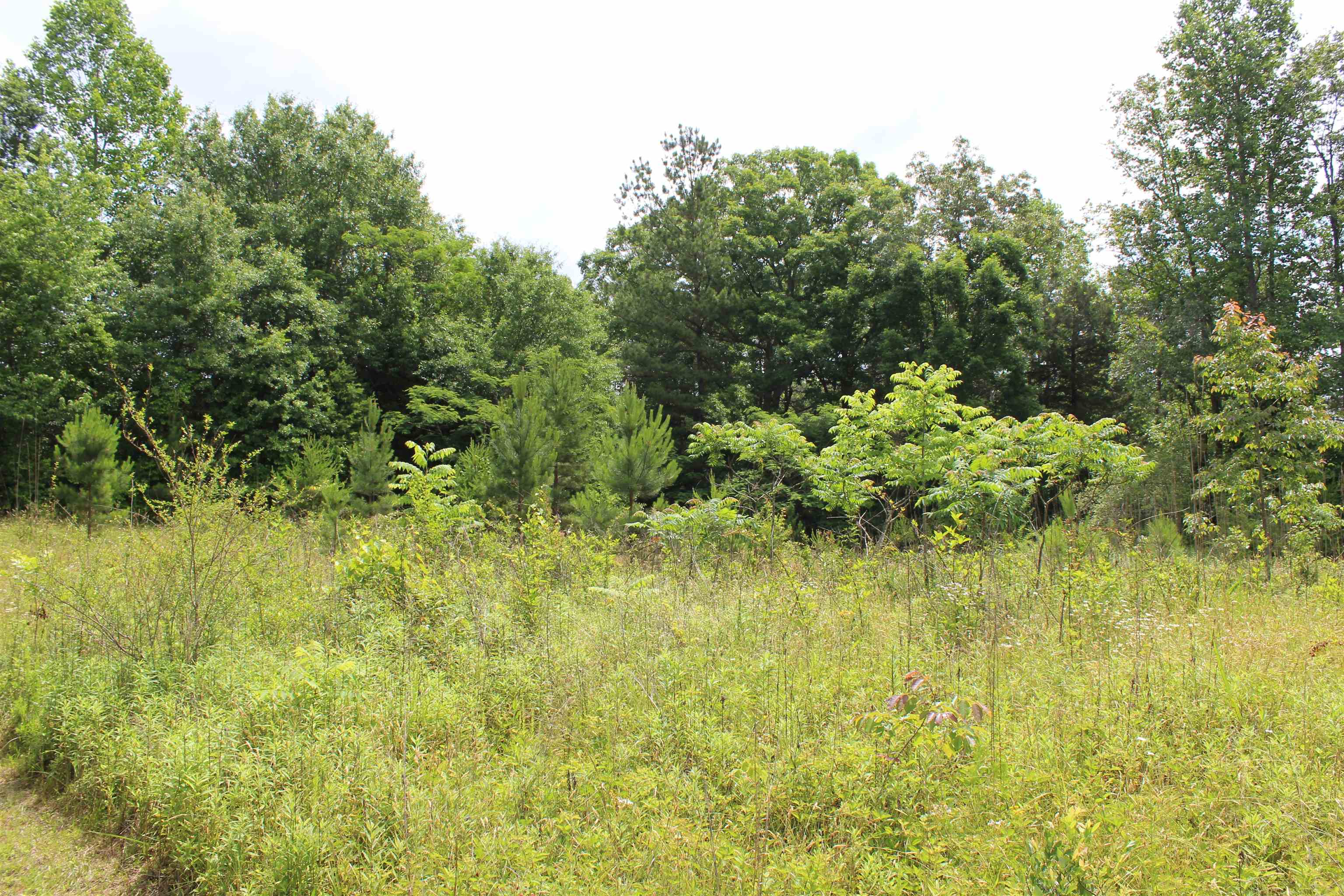 Image 34