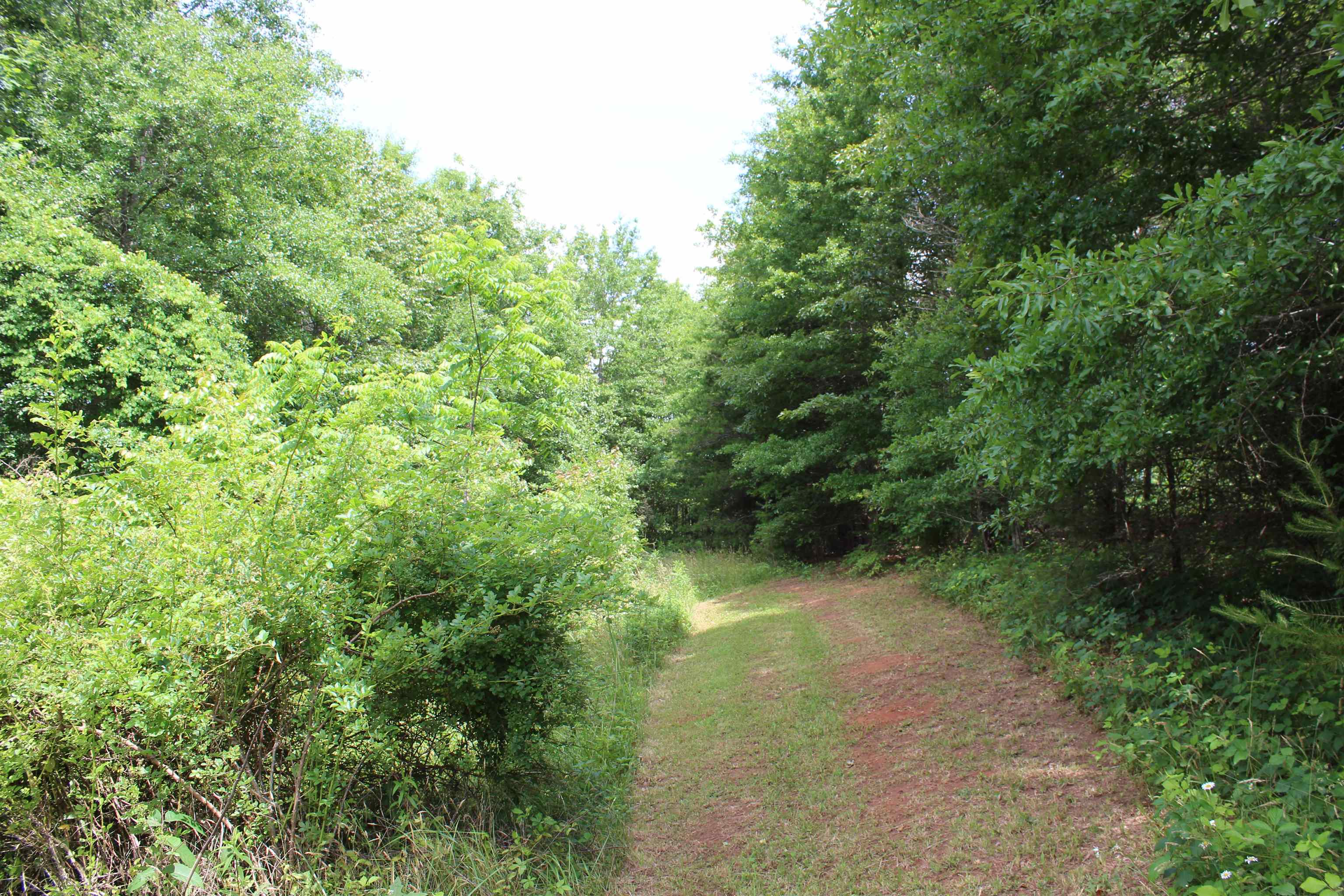 Image 37