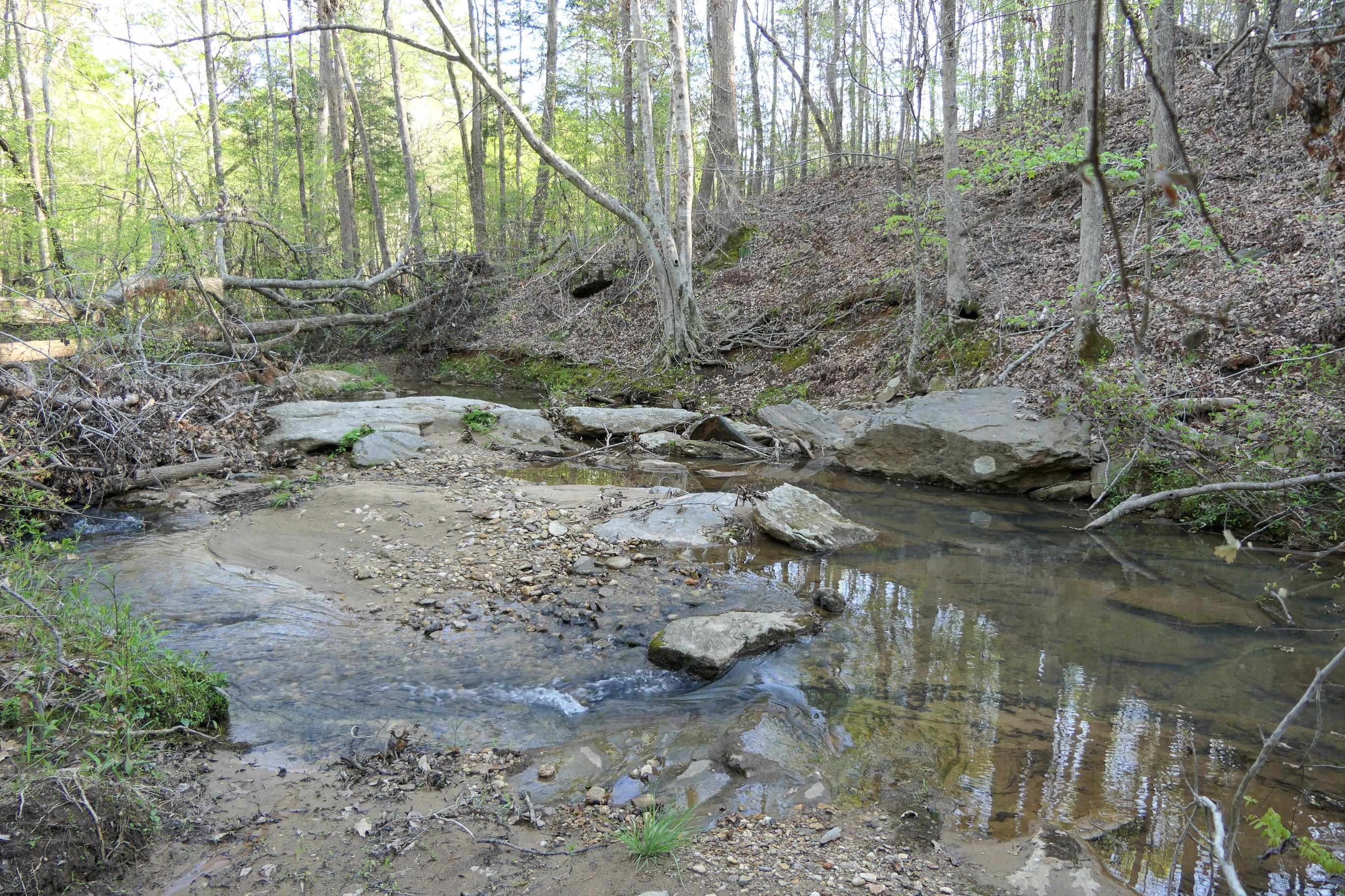 Image 31
