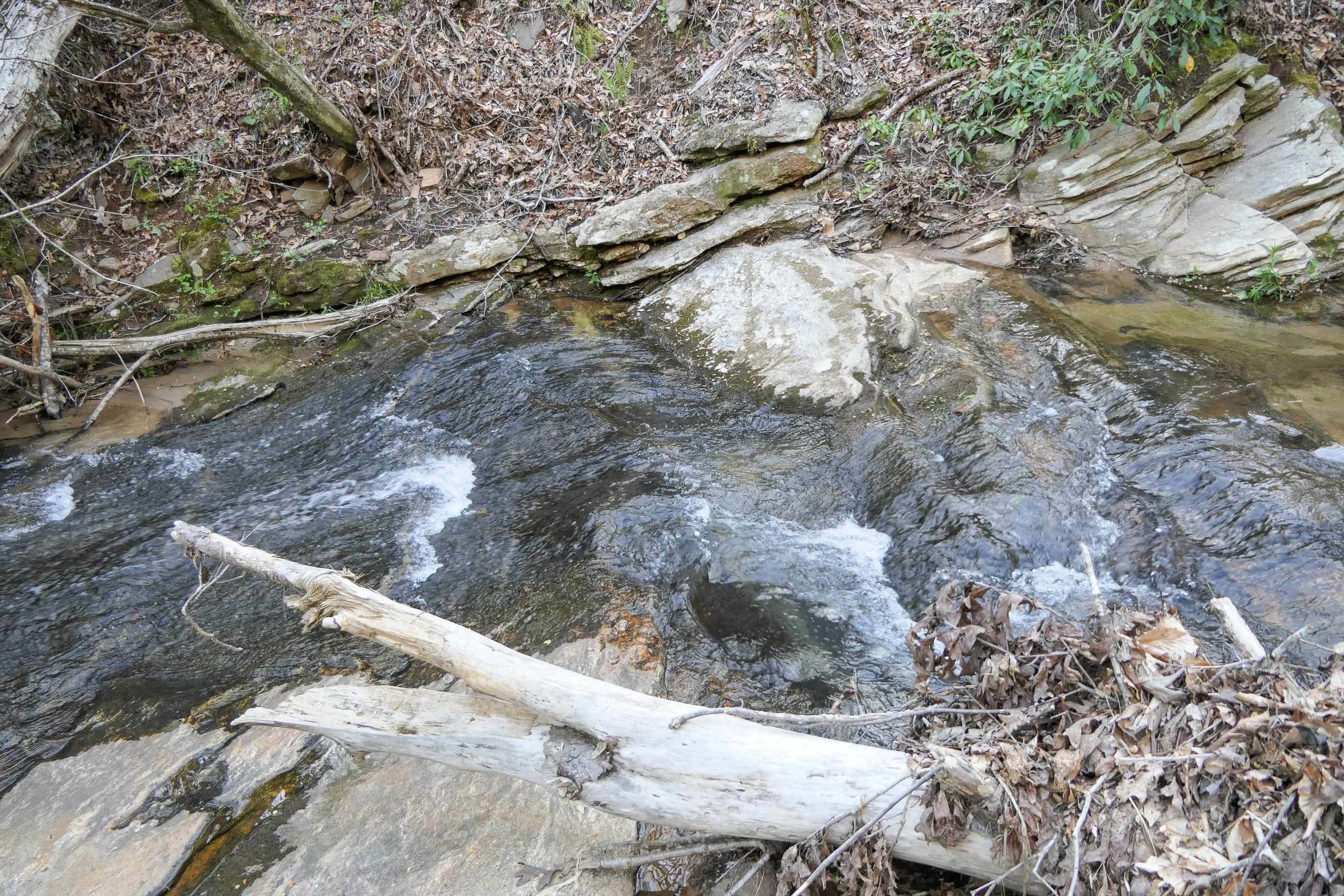 Image 33