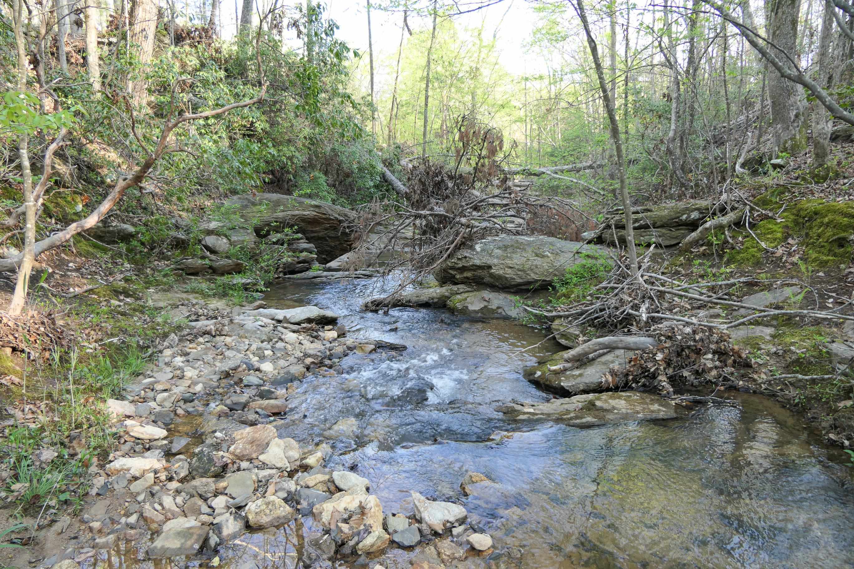 Image 35