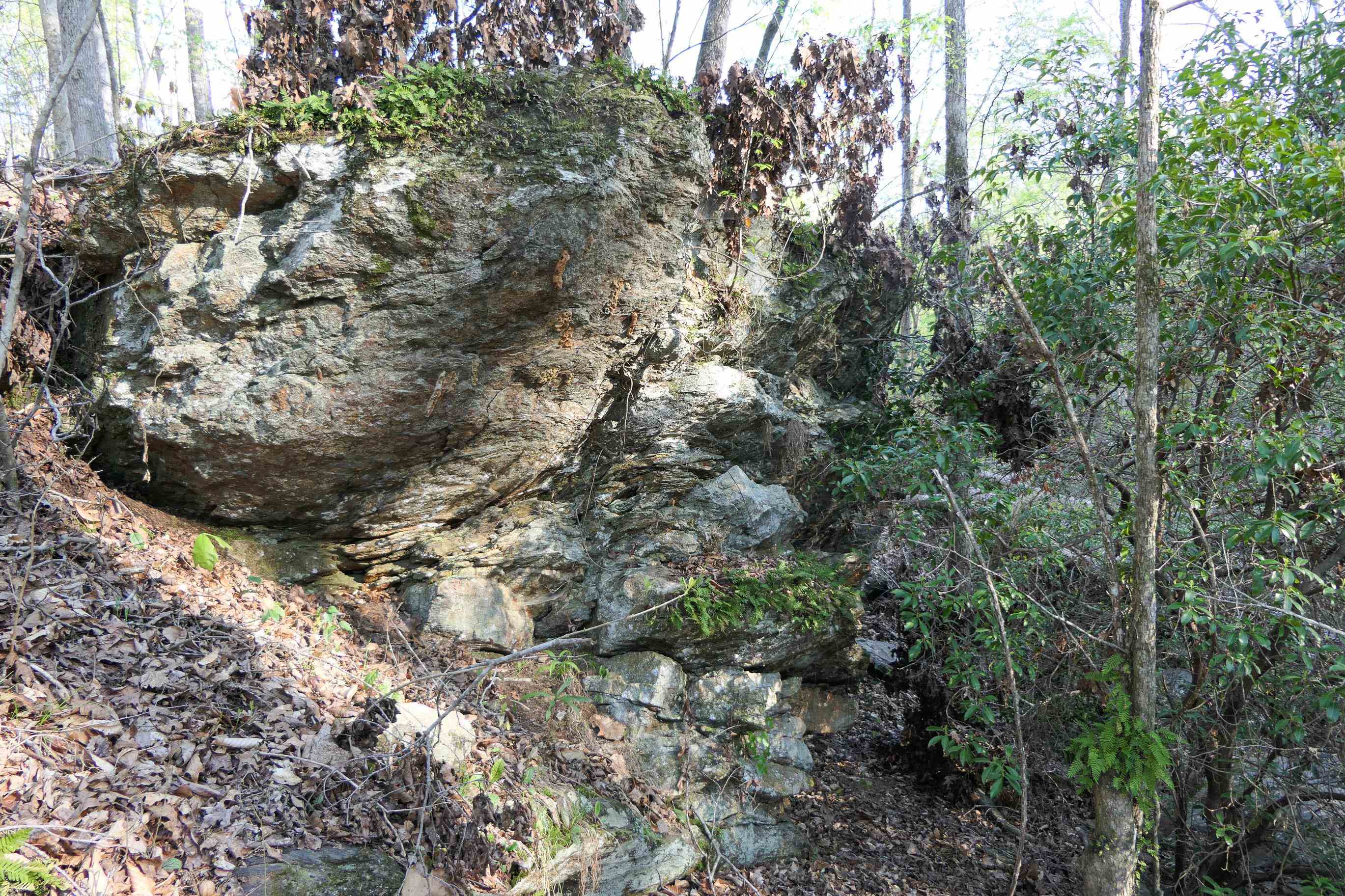 Image 36