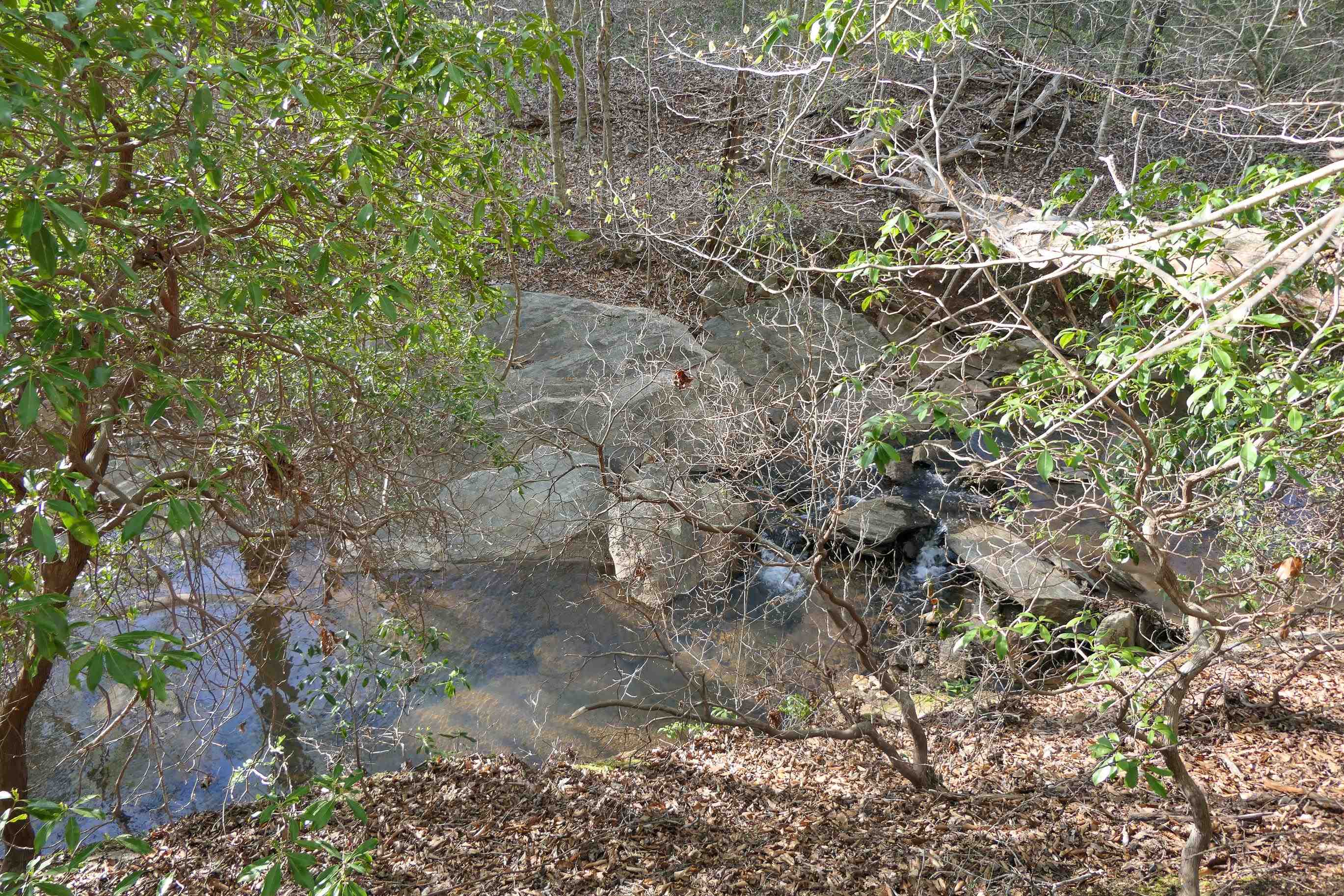 Image 42