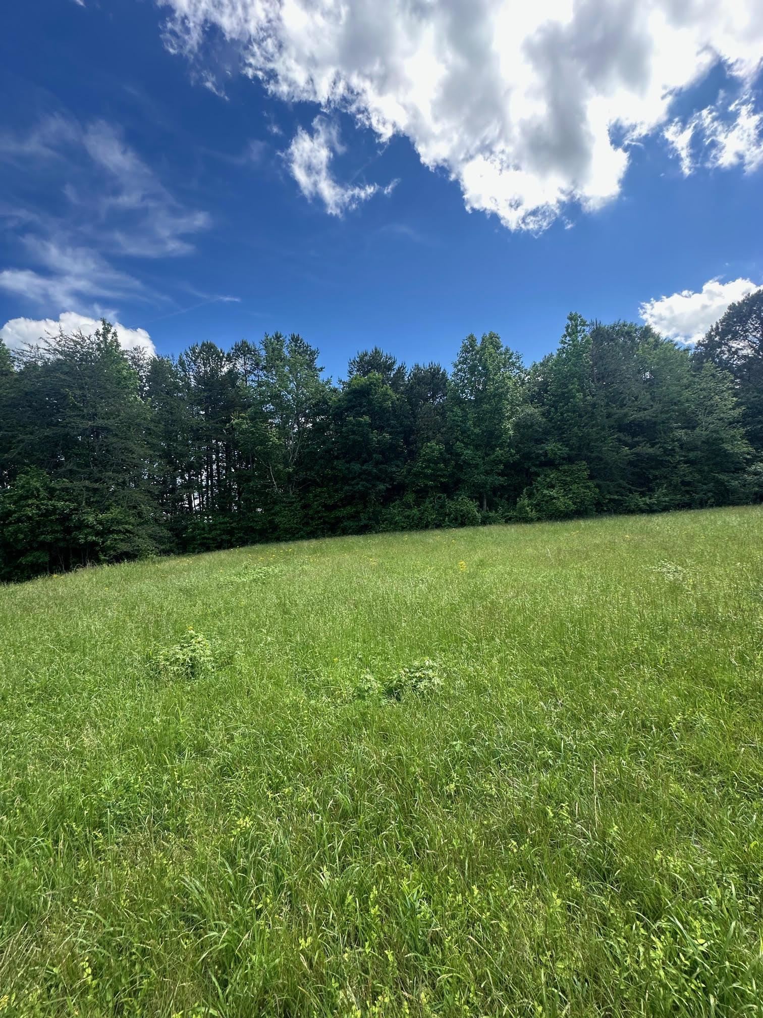 301 Sweet Gum Road