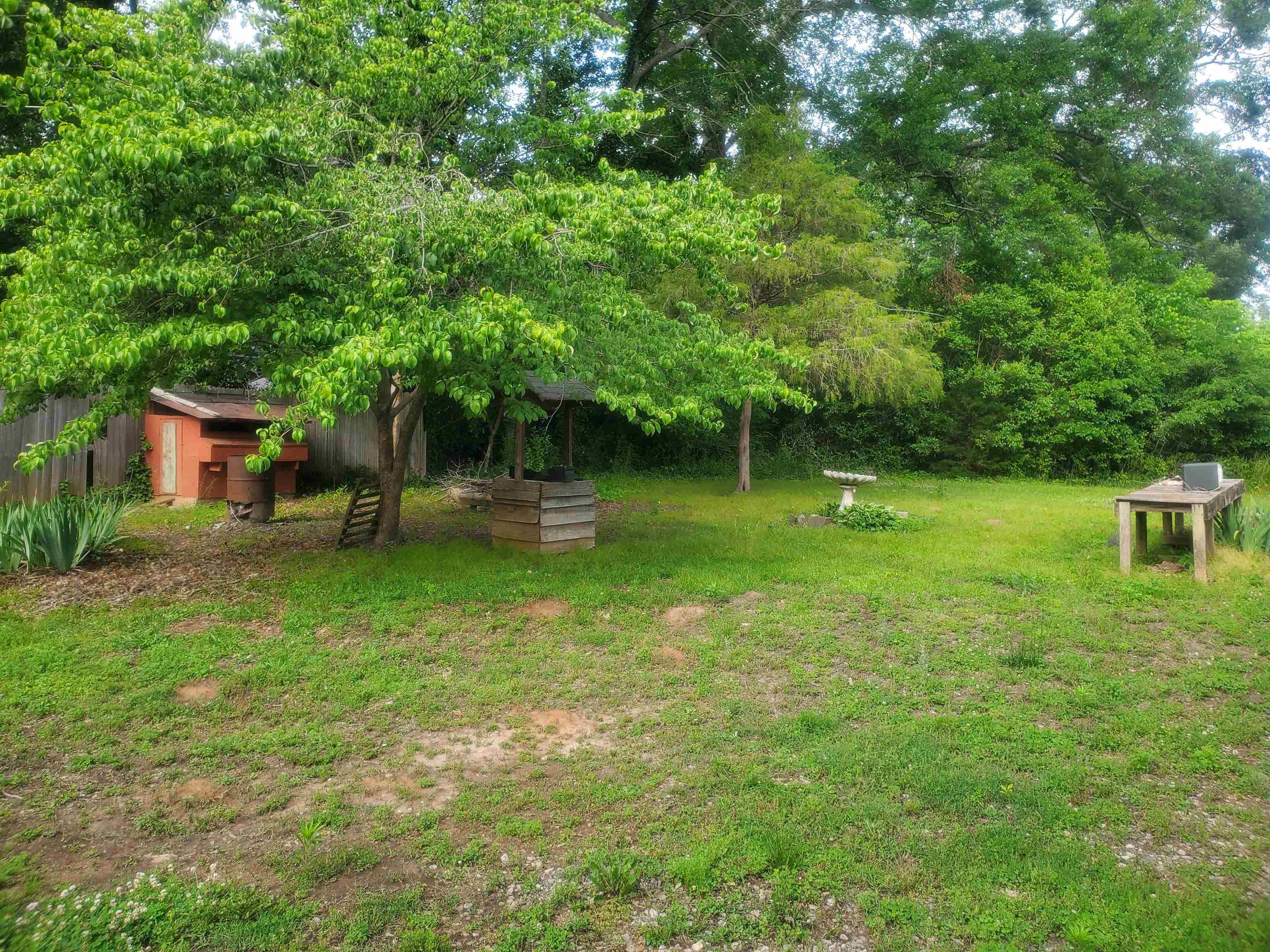 Image 48