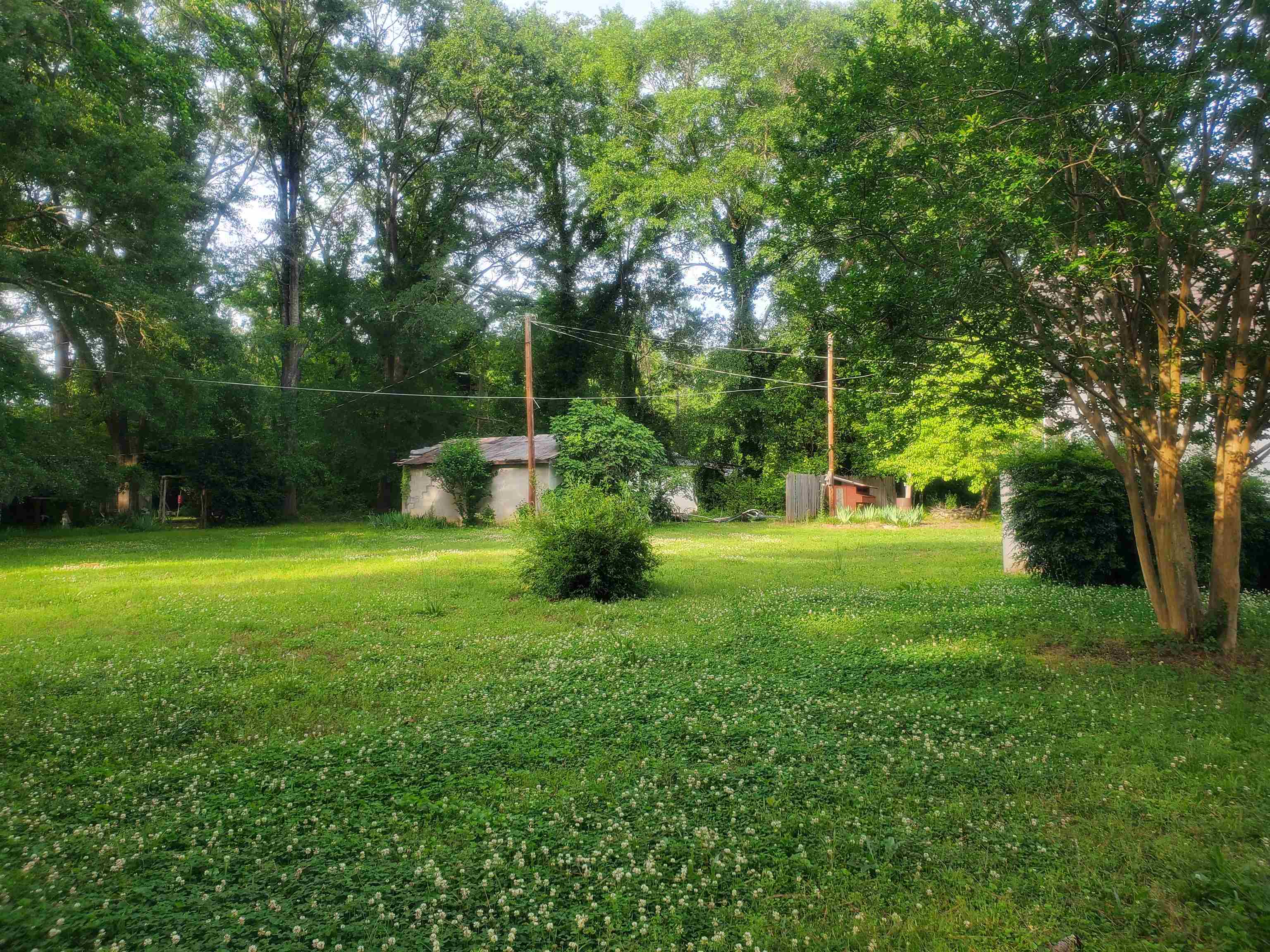 Image 45