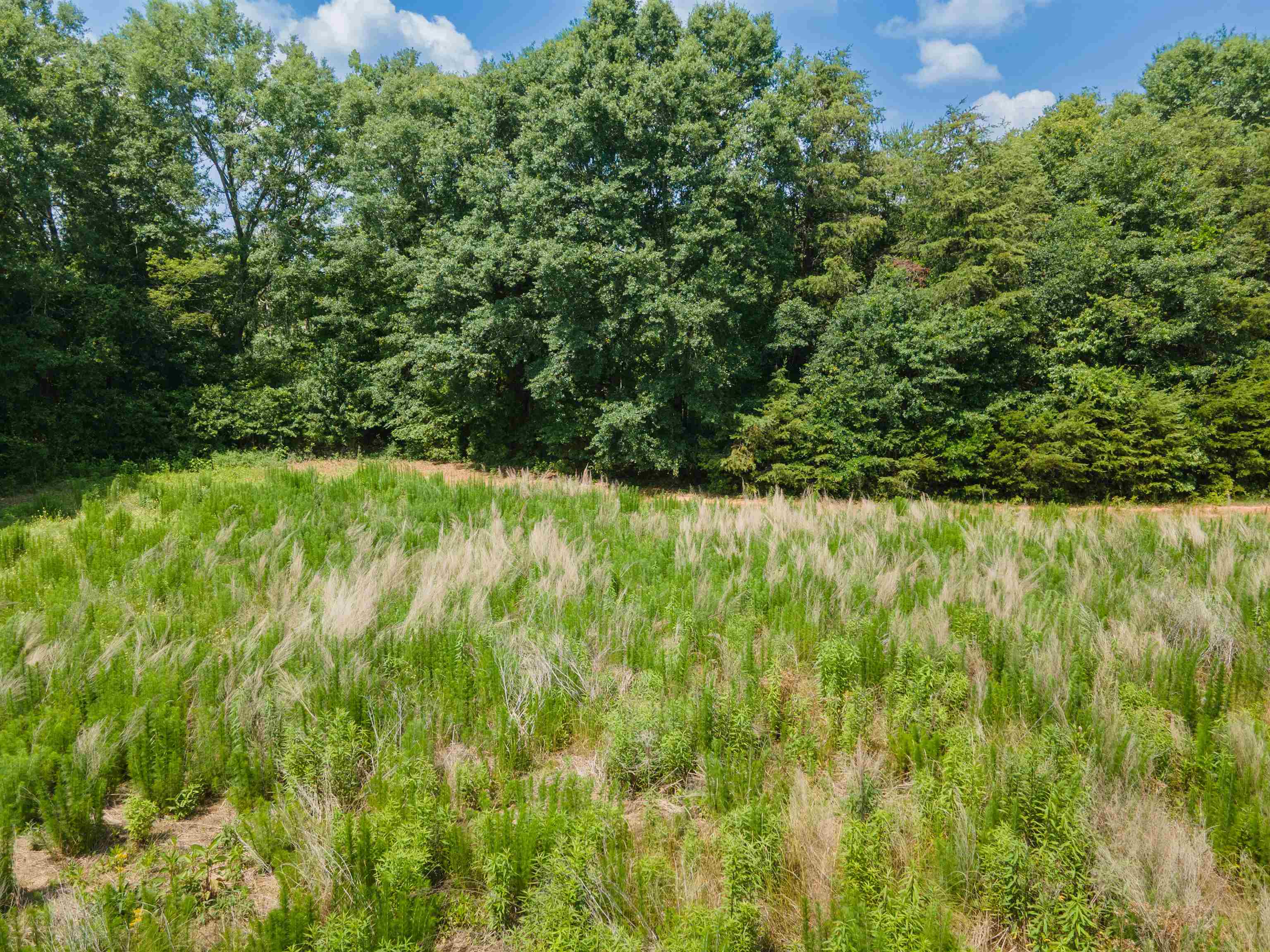 00B Cooley Springs School Road