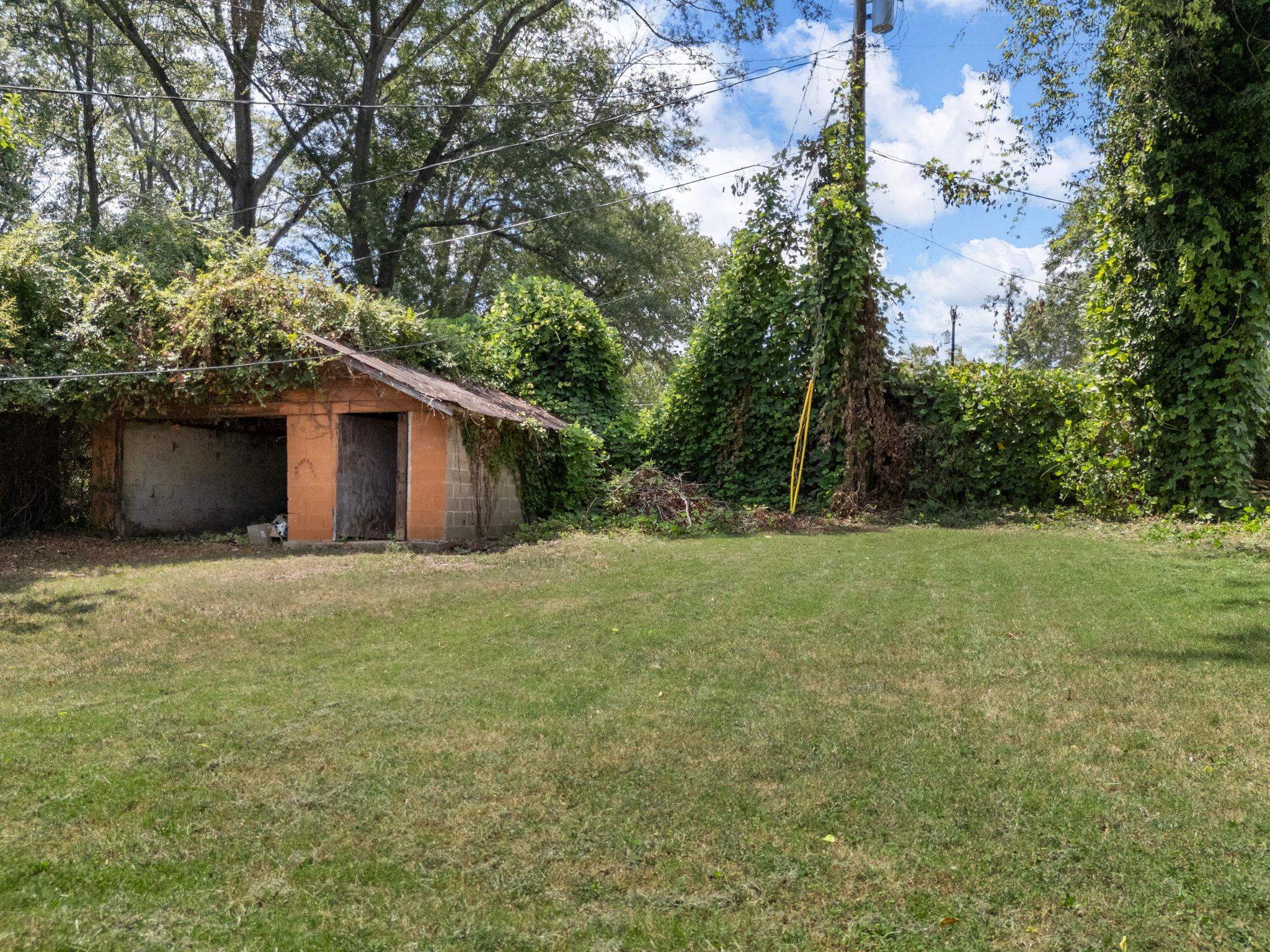 Image 30