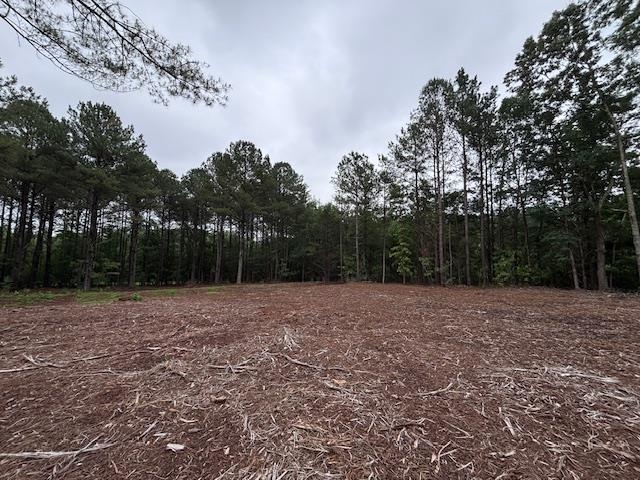 Image 13