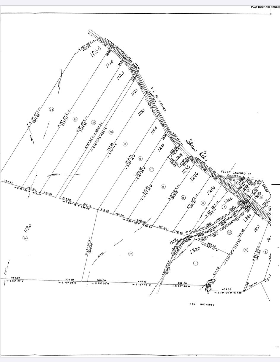 Image 13