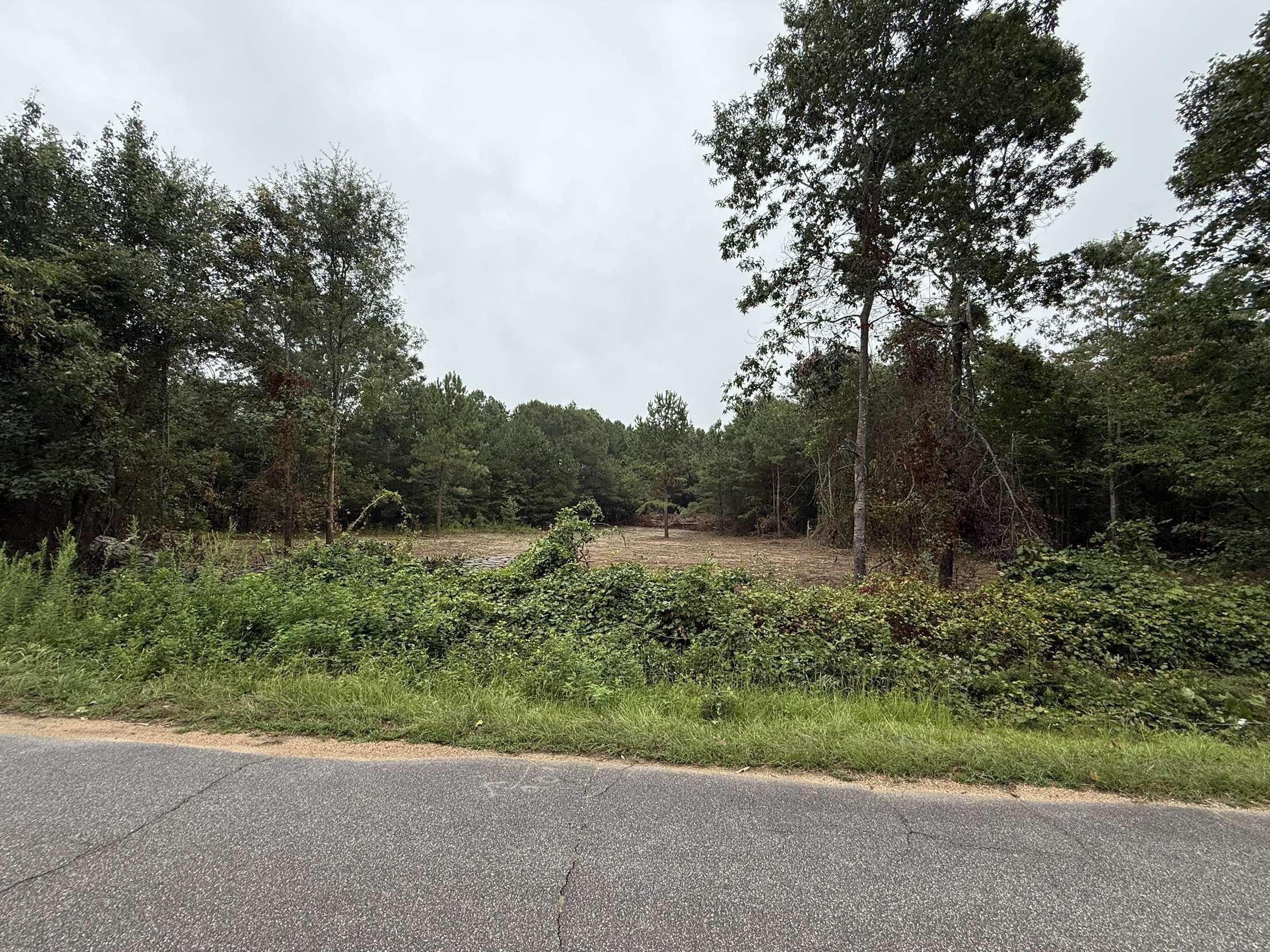 229 Holly Drive