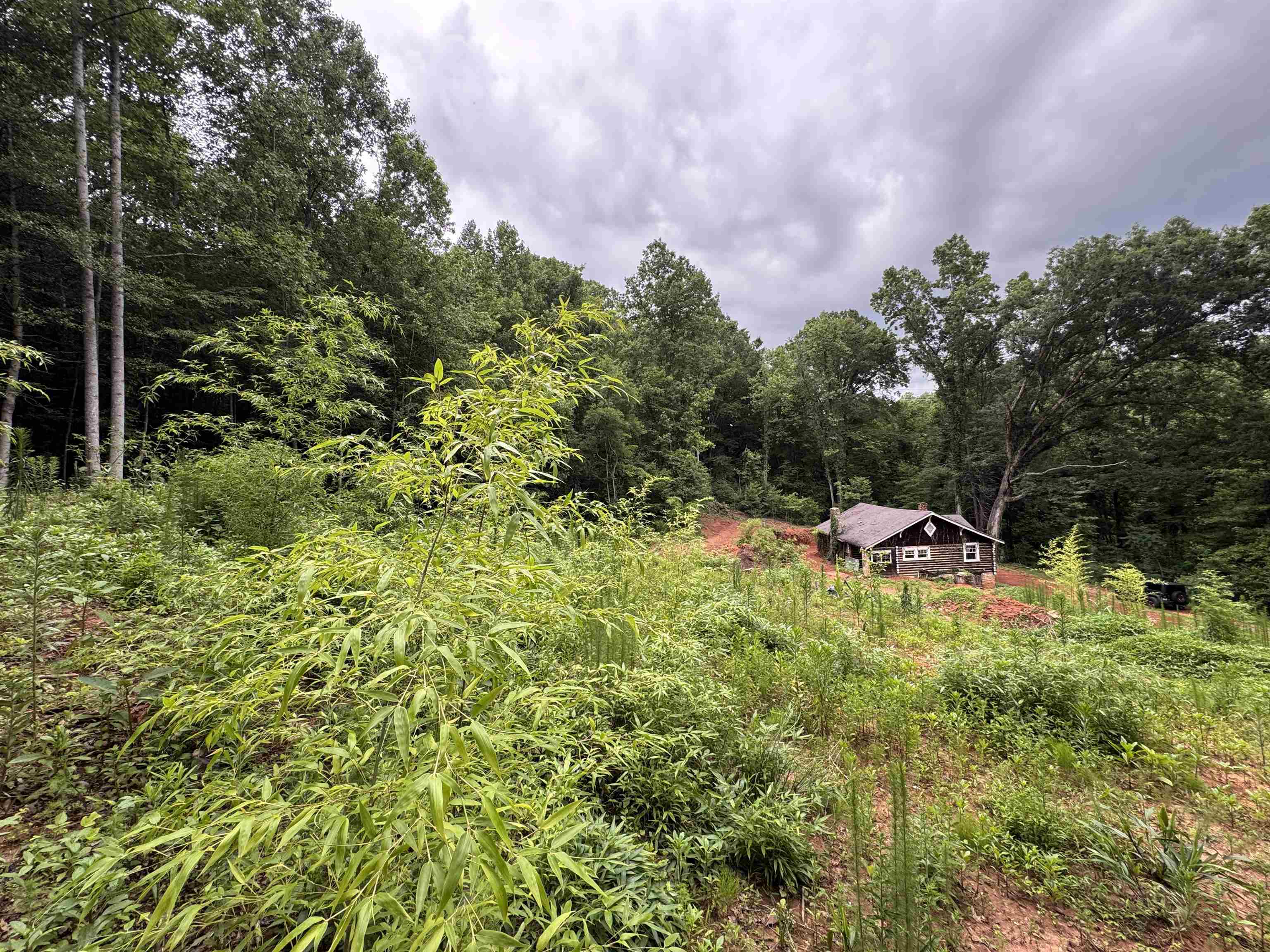 8875 N Tigerville Road